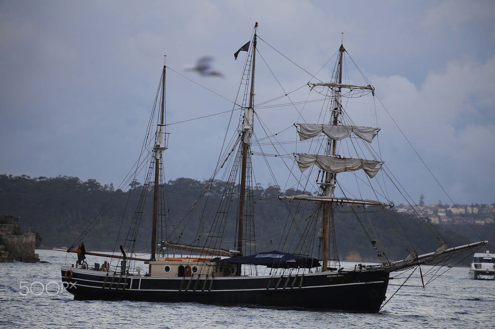 Canon EF 100-400mm F4.5-5.6L IS II USM sample photo. Sails down photography