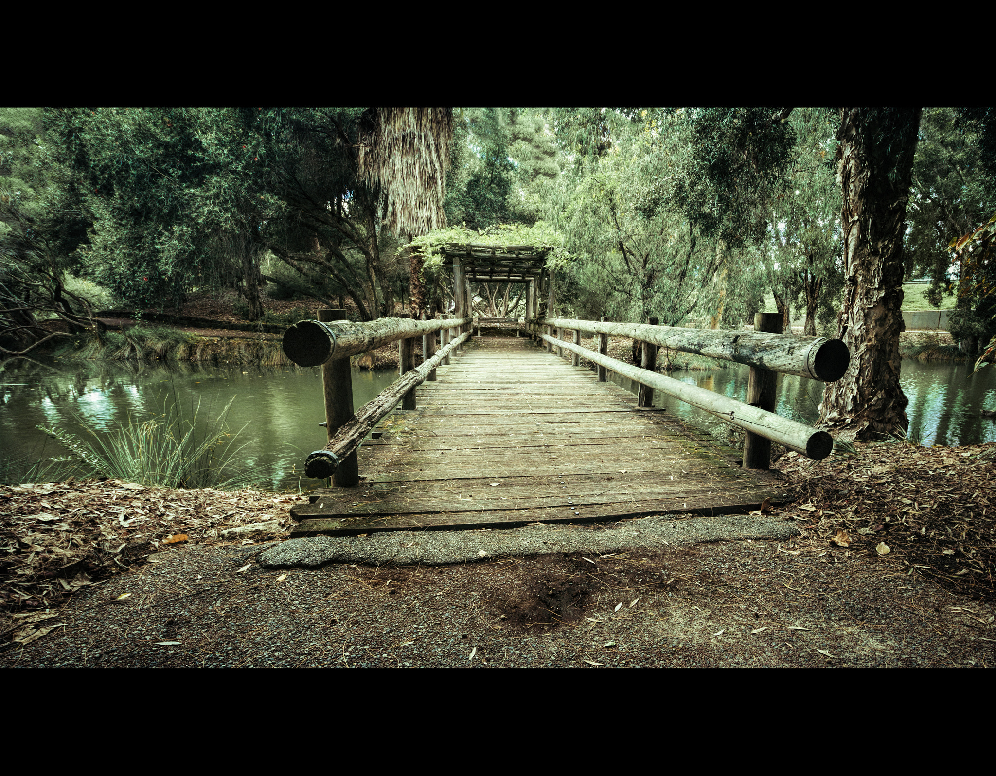 Sigma 10-20mm F3.5 EX DC HSM sample photo. - photography