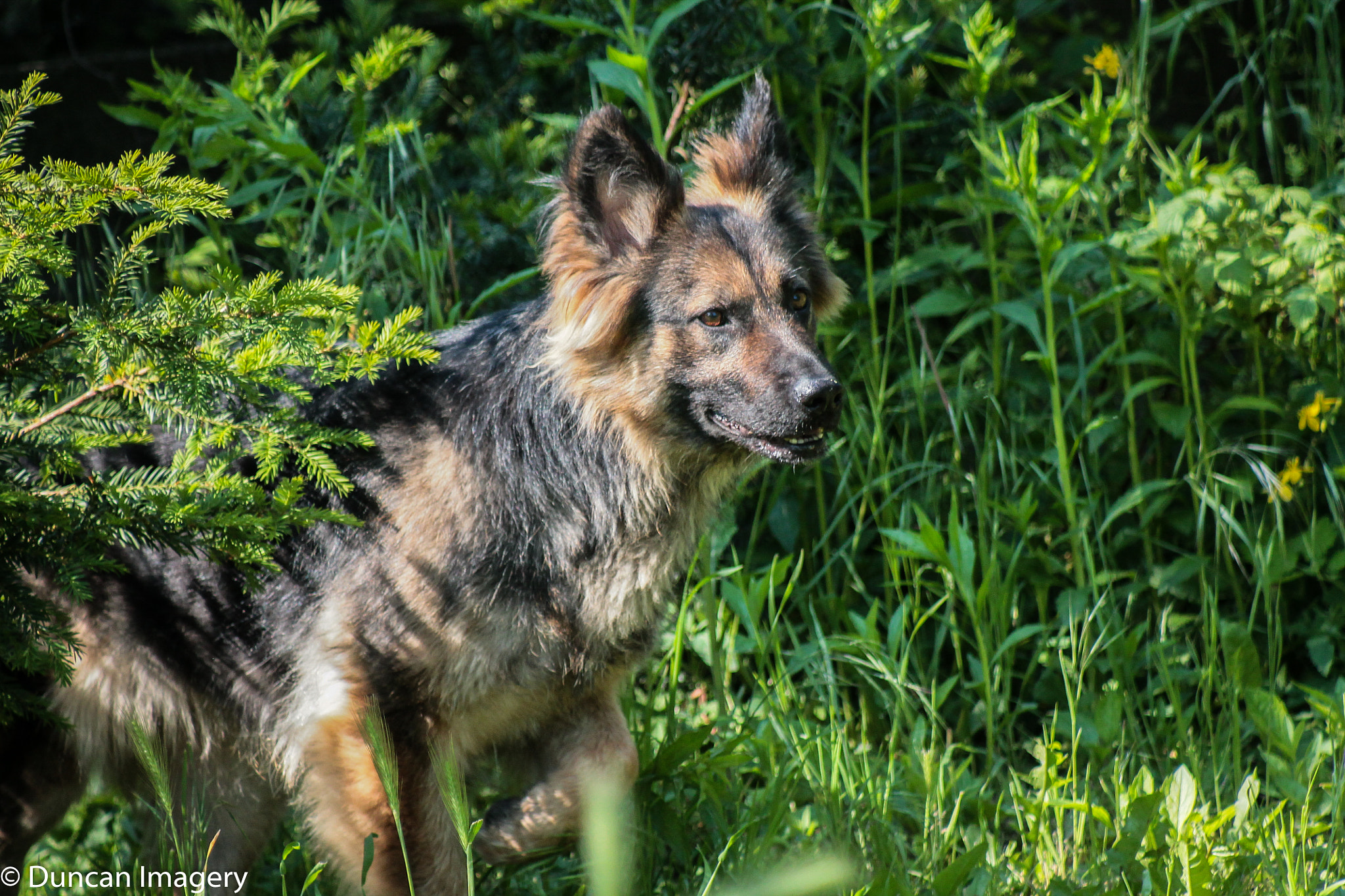 Canon EF 80-200mm F4.5-5.6 II sample photo. Little discoverer photography