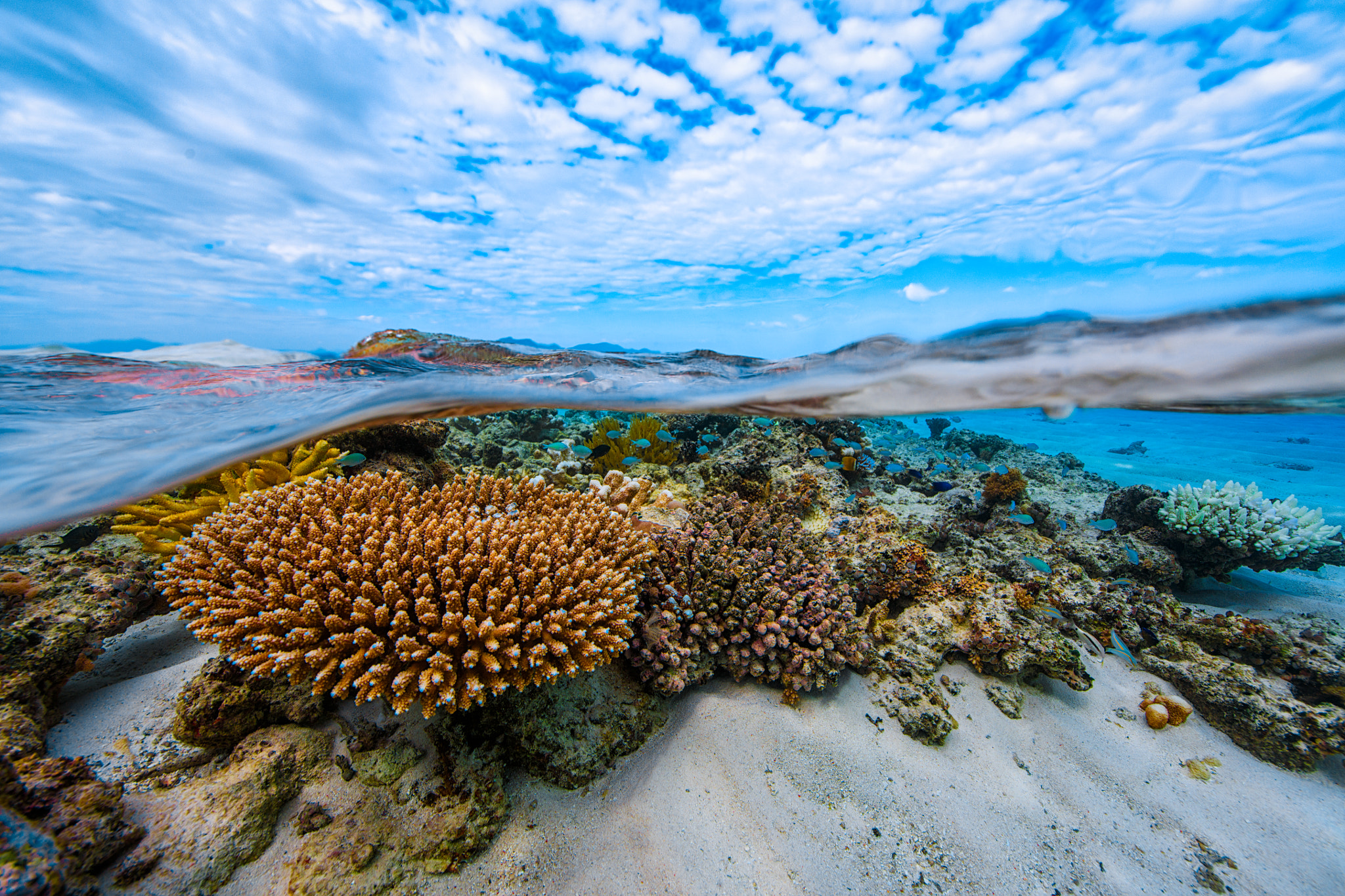 Canon EF 14mm F2.8L II USM sample photo. Into the lagoon! photography