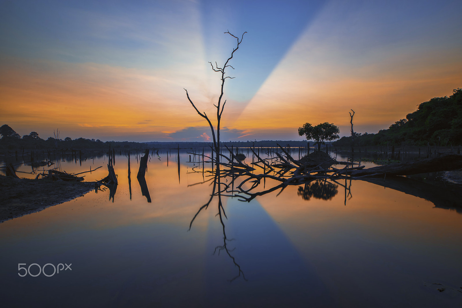Sony a7 II + Canon EF 16-35mm F2.8L II USM sample photo. Sun beam photography