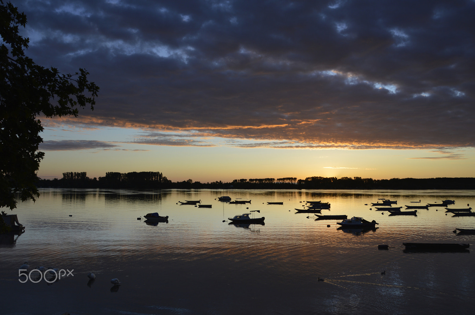 Nikon AF DX Fisheye-Nikkor 10.5mm F2.8G ED sample photo. Morning kej photography