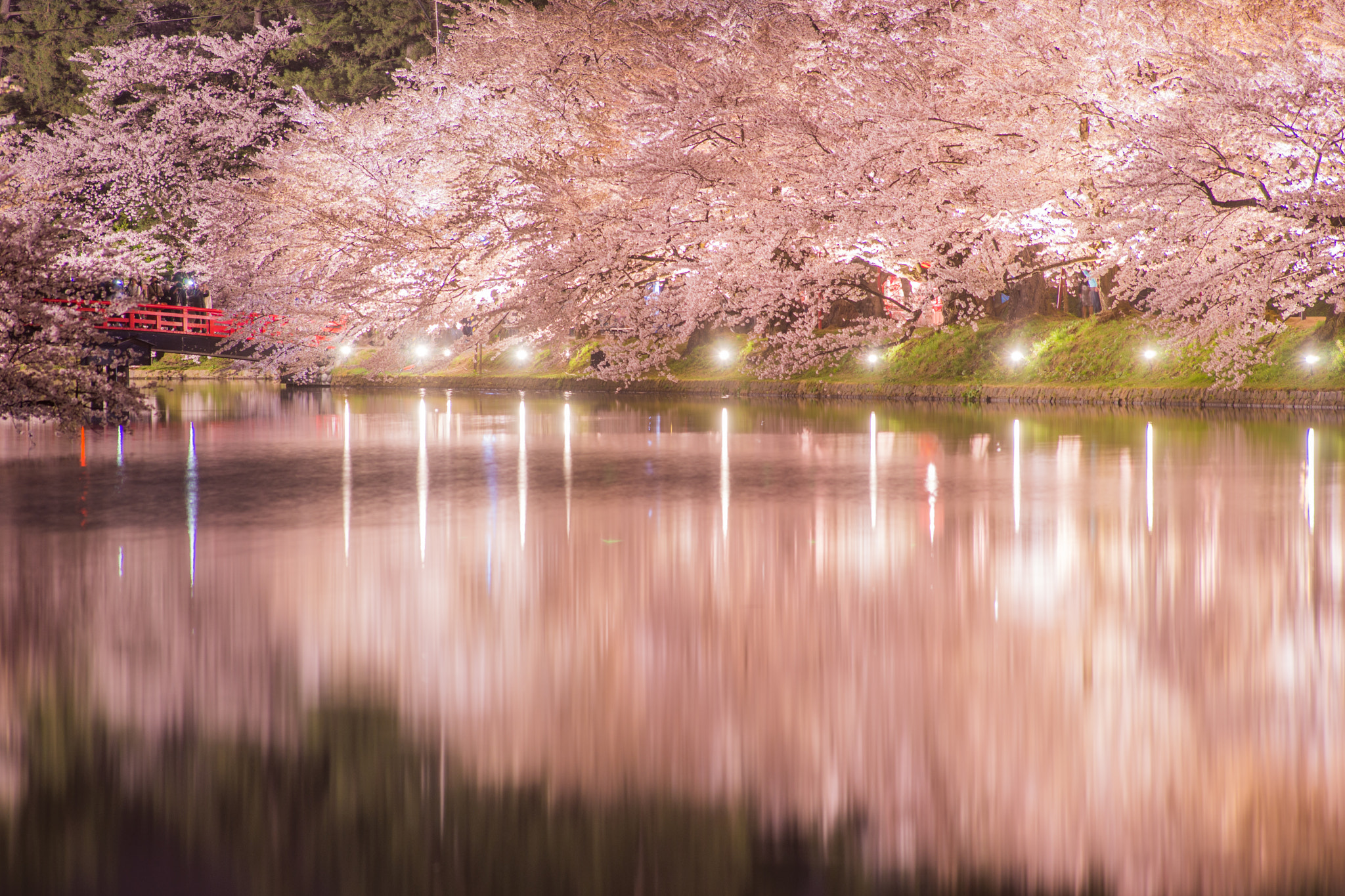 Tamron SP AF 300mm F2.8 LD IF sample photo. Cherry blossom in full bloom in hirosaki photography
