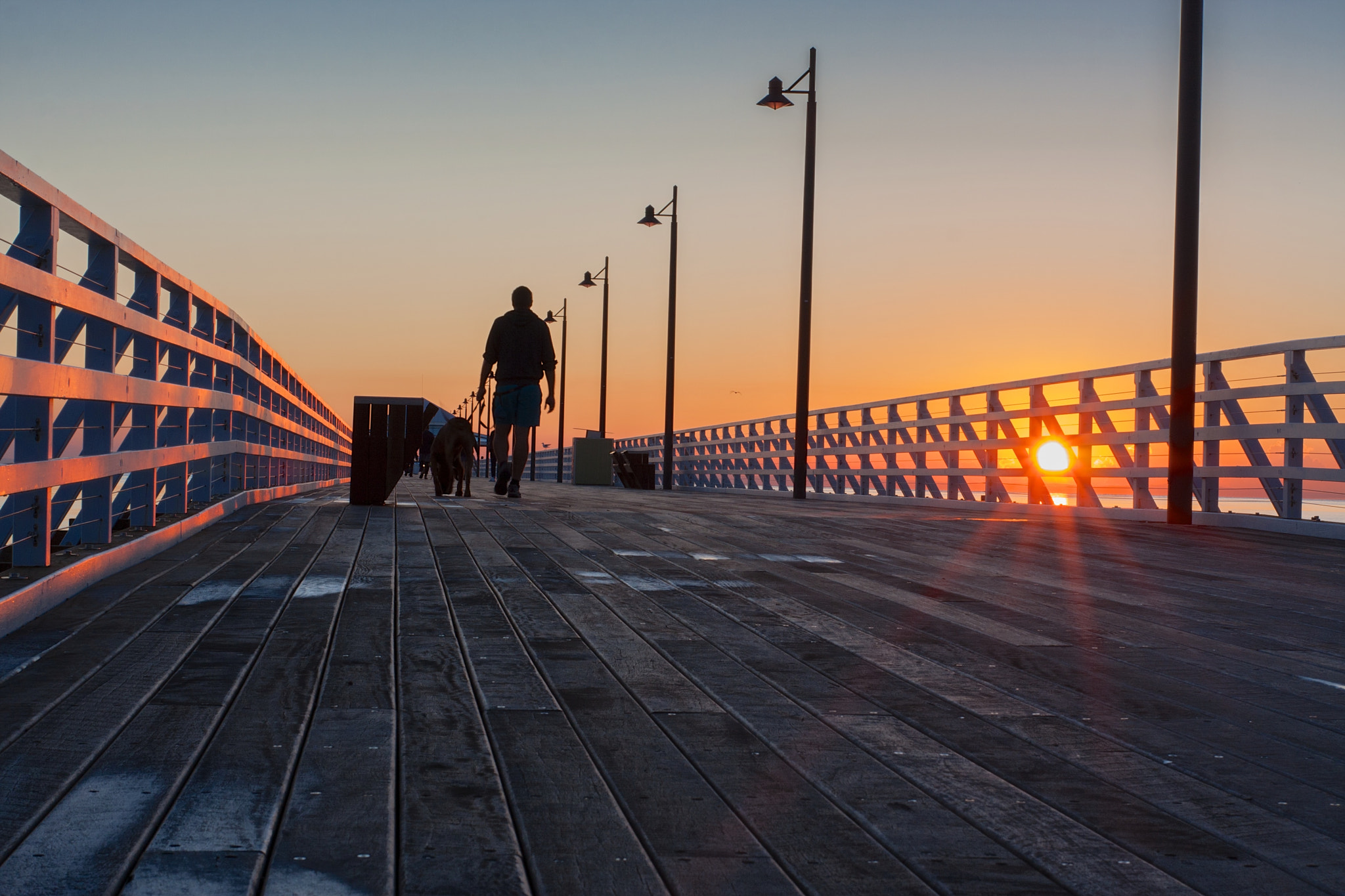 Sigma 50mm F1.4 EX DG HSM sample photo. Walking the dog along the pier photography