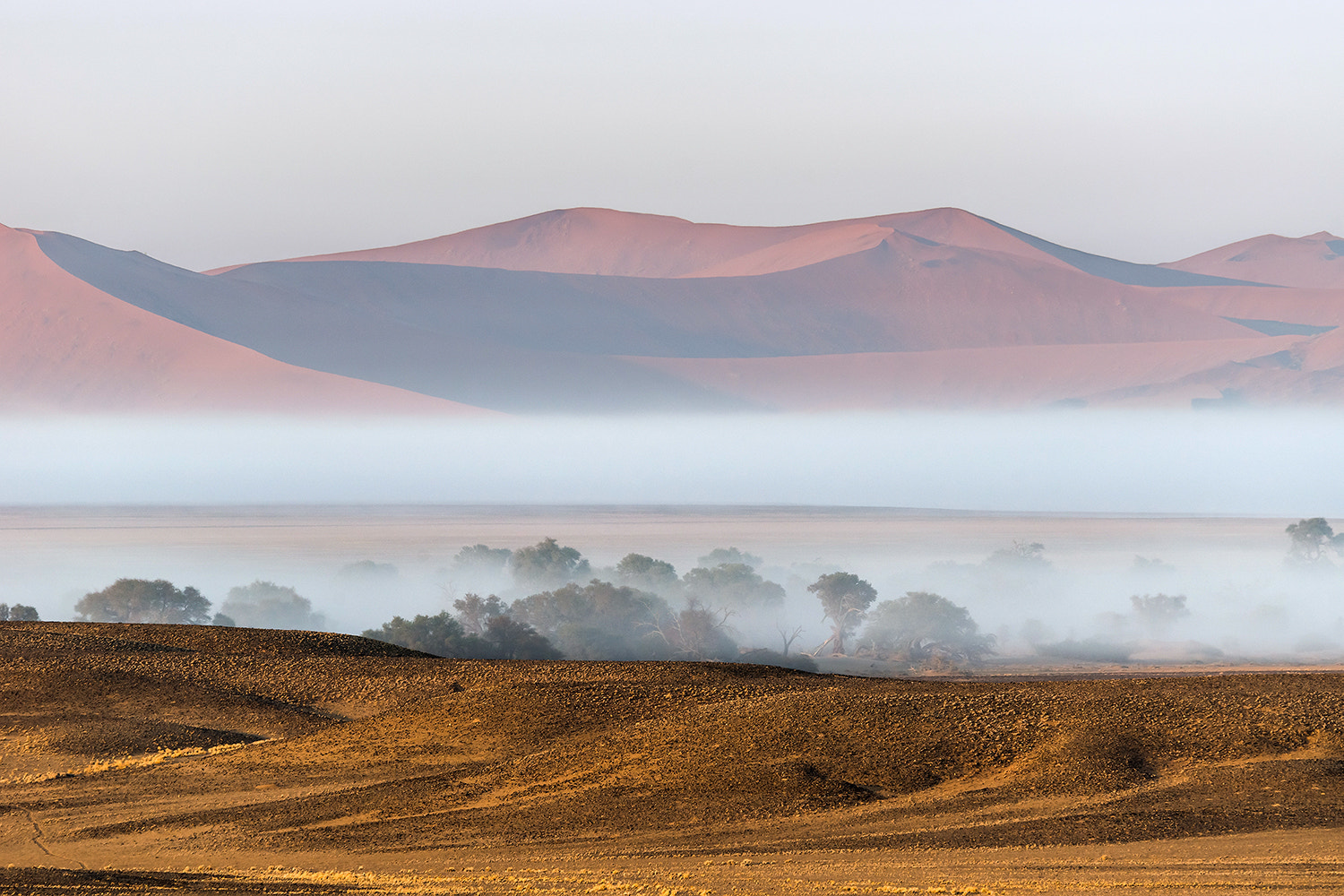 Sony a99 II sample photo. Misty morning in sossusvlei red dunes photography