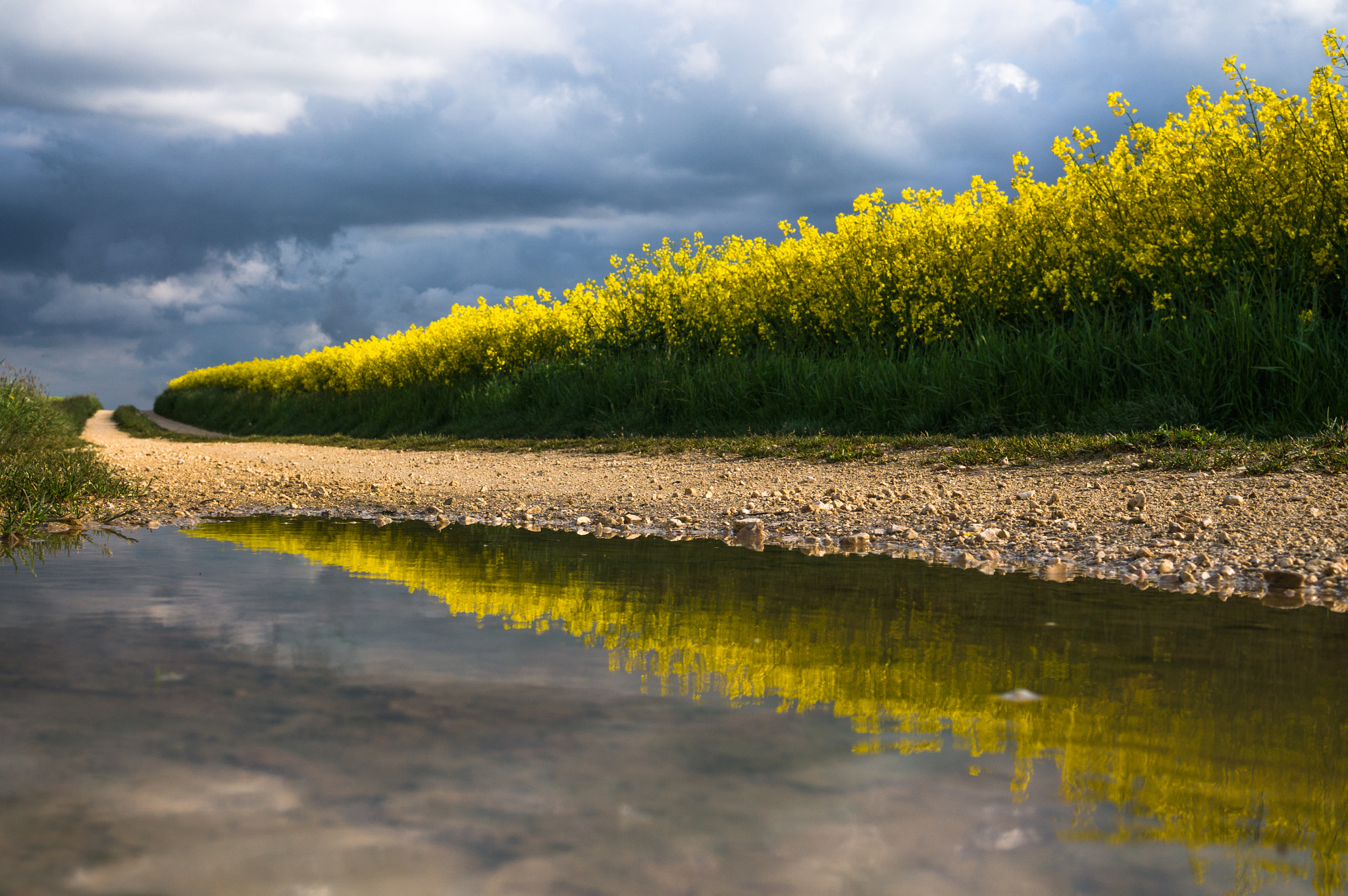 Sony Alpha NEX-5R + Sigma 30mm F2.8 EX DN sample photo. Reflection photography