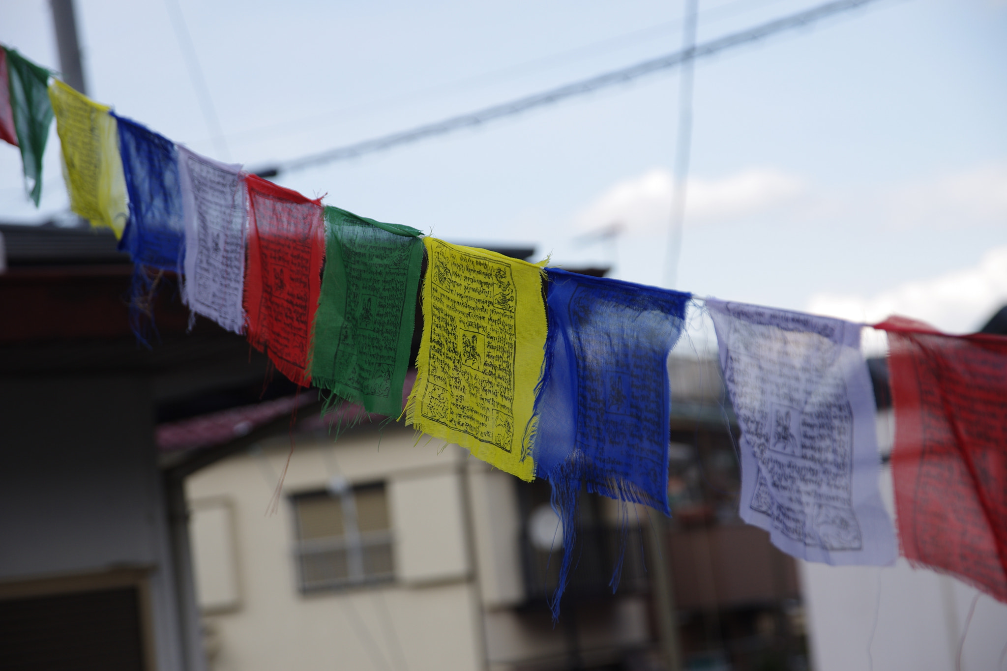Sigma 17-70mm F2.8-4 DC Macro HSM | C sample photo. 140405_takao photography