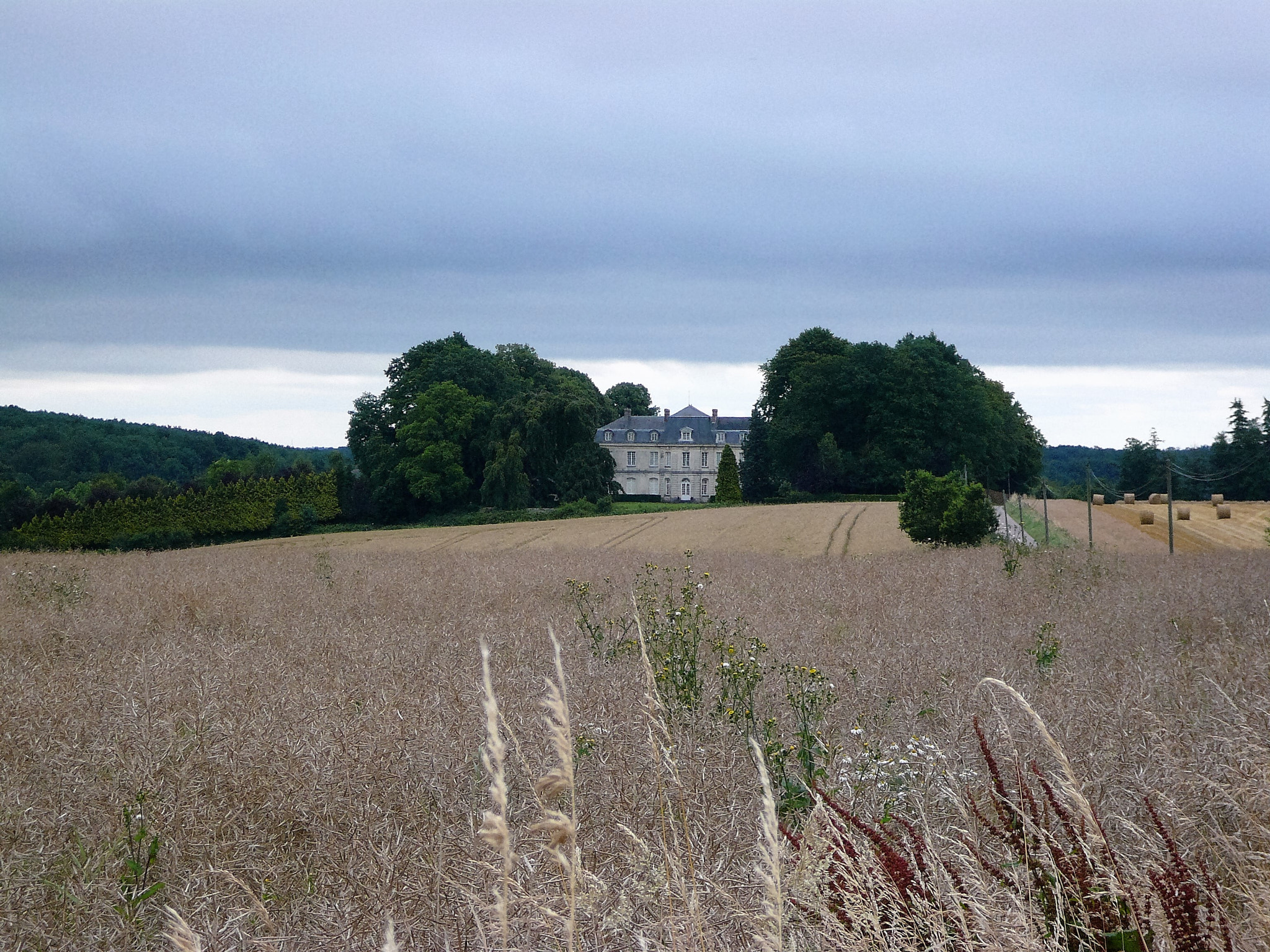 Panasonic DMC-FX07 sample photo. Castle and field photography