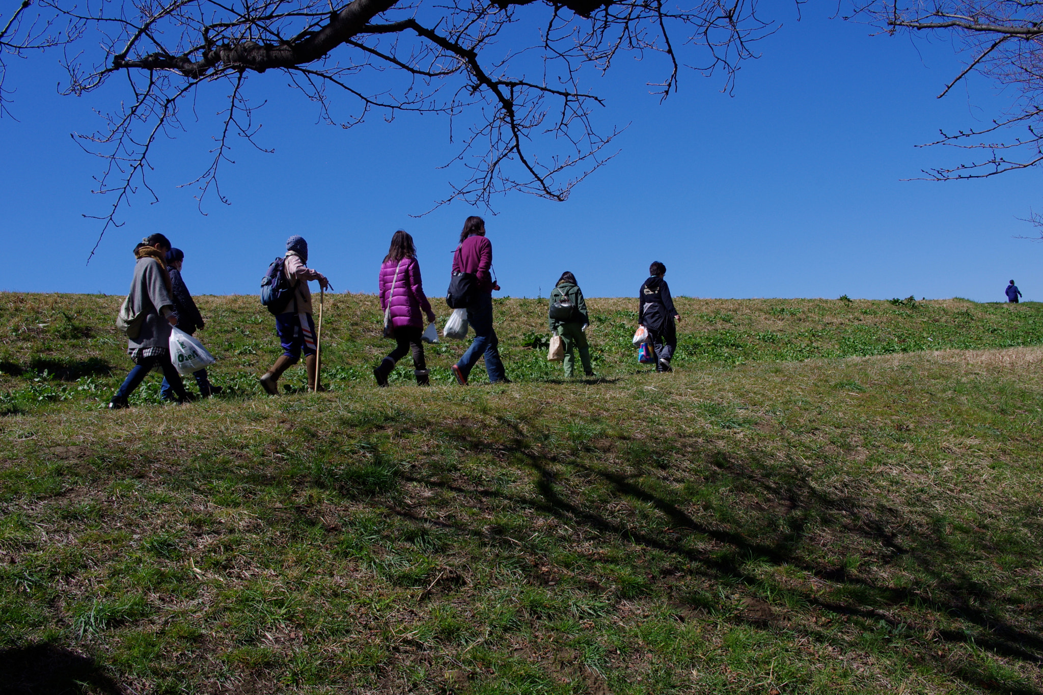 Pentax K-5 sample photo. 140315_unoki photography