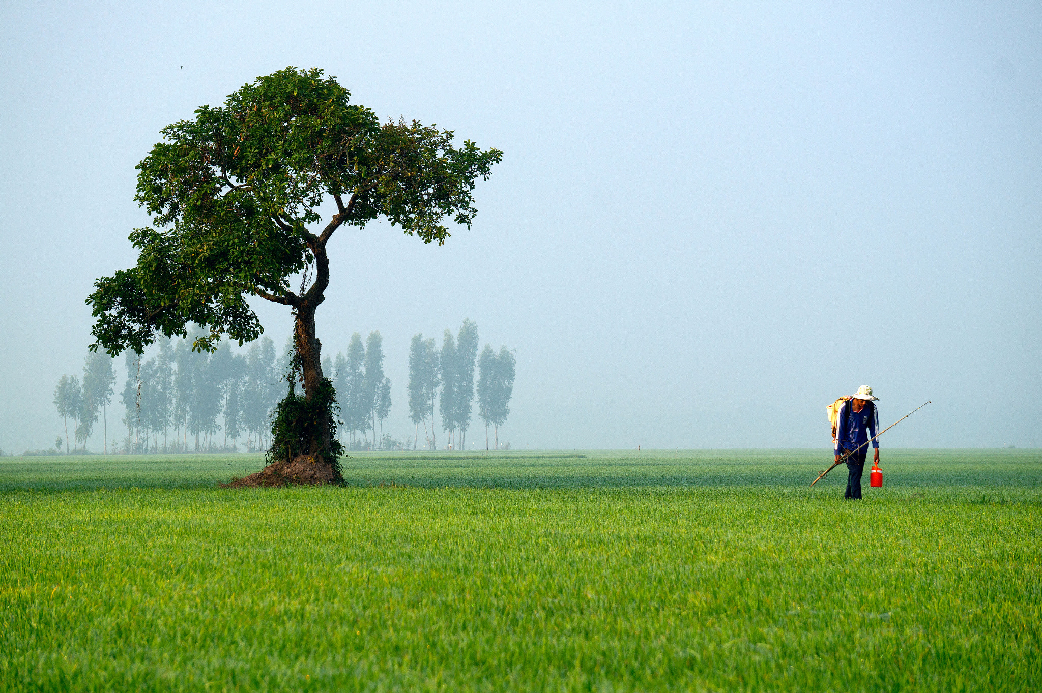 Sony Alpha a3000 sample photo. Farmer is viet nam photography