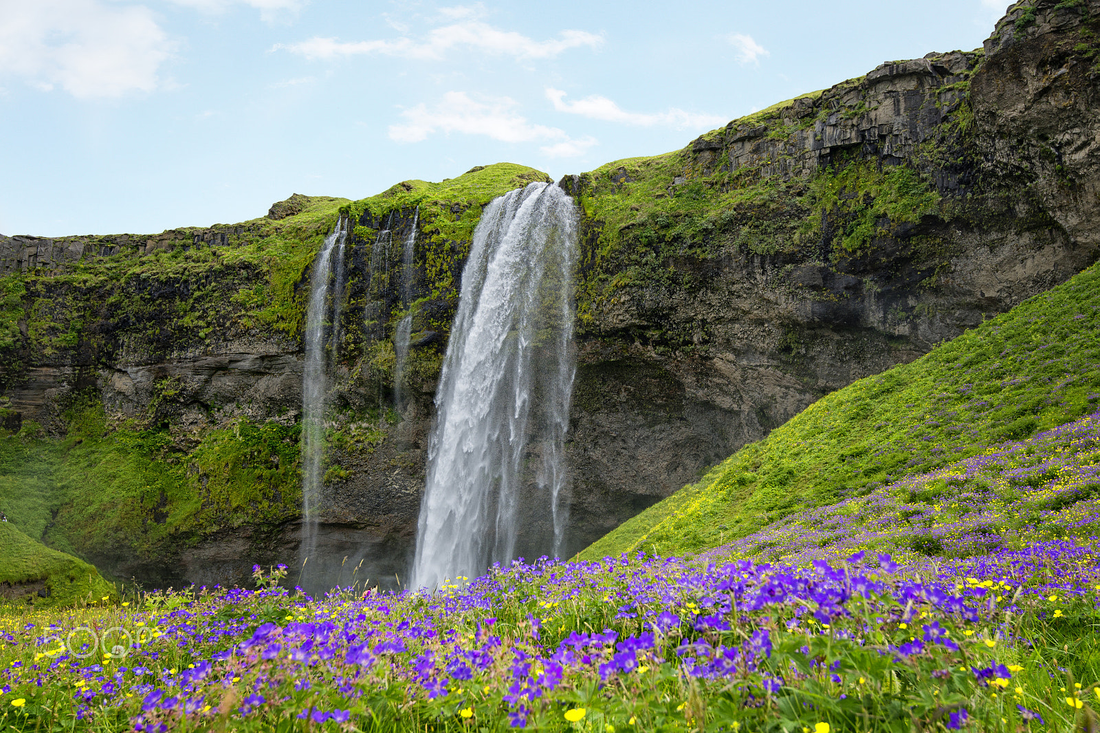Nikon D600 + AF Nikkor 85mm f/1.8 sample photo. Seljalandsfoss waterfall photography