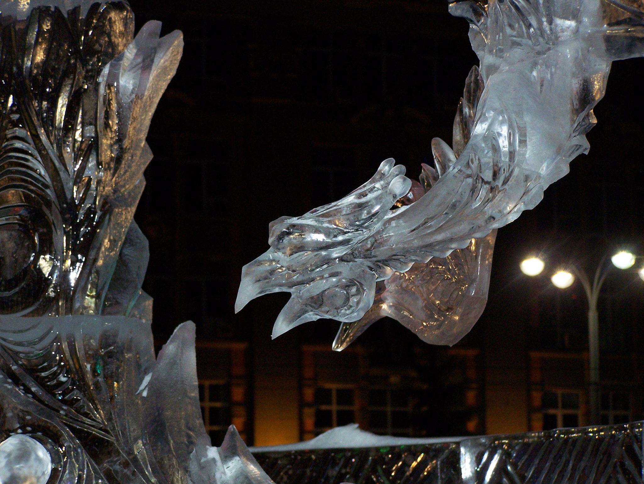 Kodak Z650 ZOOM DIGITAL CAMERA sample photo. Ice eagle photography