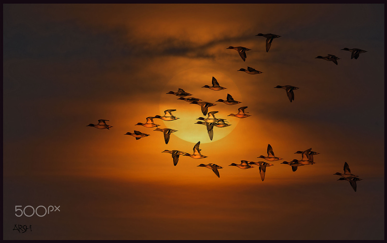 Nikon AF-S Nikkor 600mm F4E FL ED VR sample photo. Let me fly ! photography