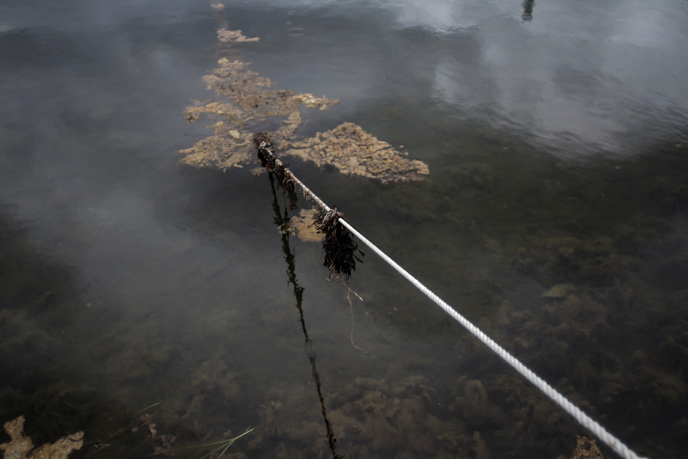 Canon EOS 7D + Canon EF 20mm F2.8 USM sample photo