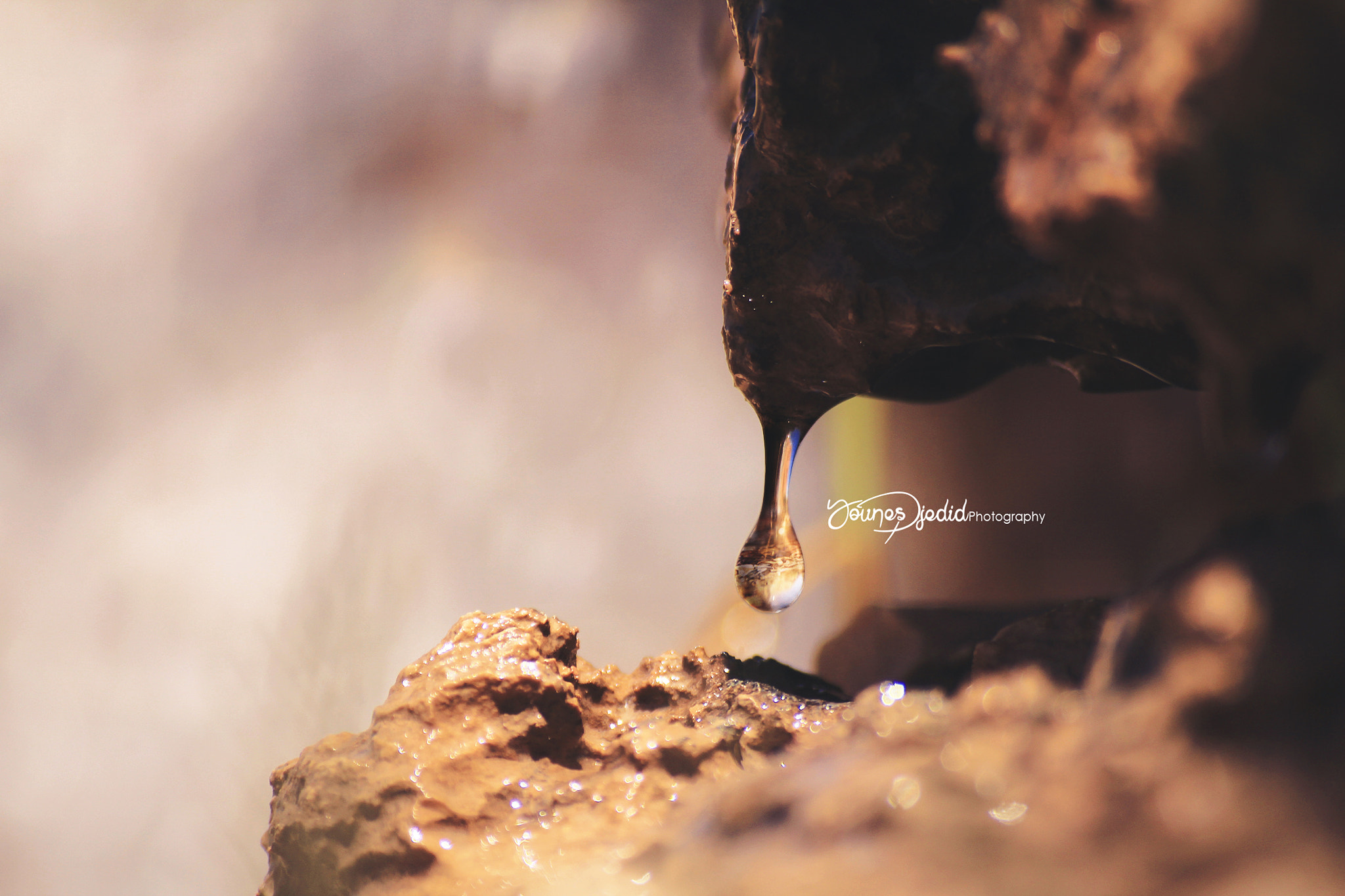 Sigma 55-200mm f/4-5.6 DC sample photo. Dffdffffff photography