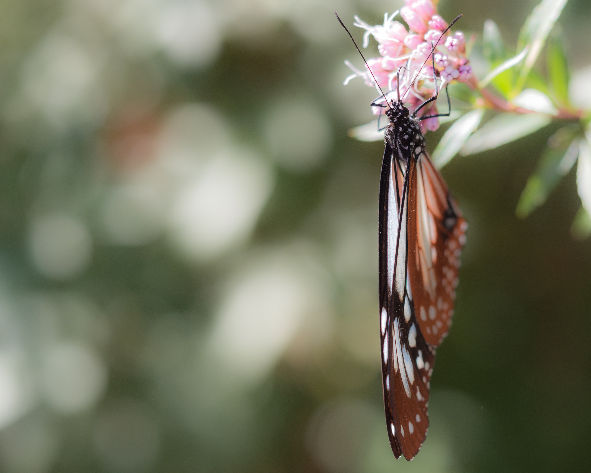 Olympus PEN E-PL5 sample photo. Rest photography
