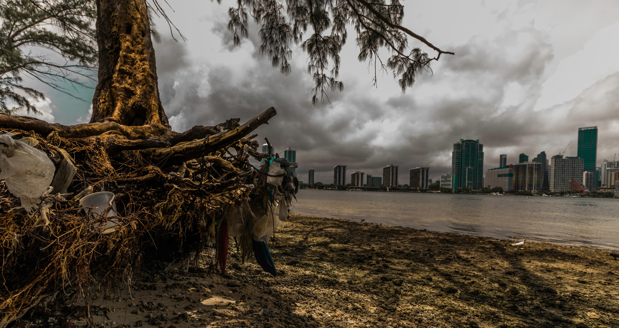Canon EF-S 10-18mm F4.5–5.6 IS STM sample photo. Key biscayne photography