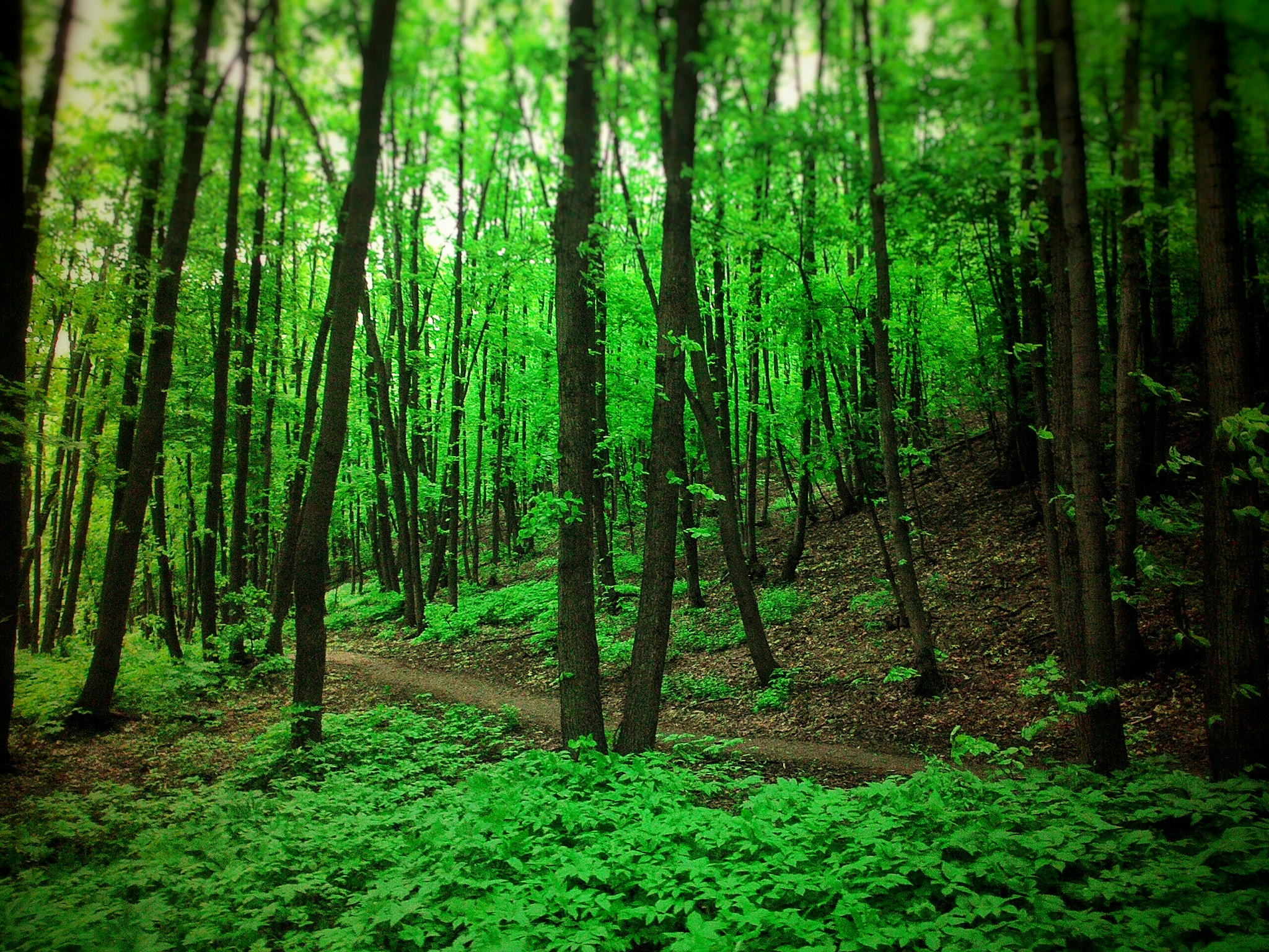 ASUS ZenFone 4 (A400CG) sample photo. Landscape photography