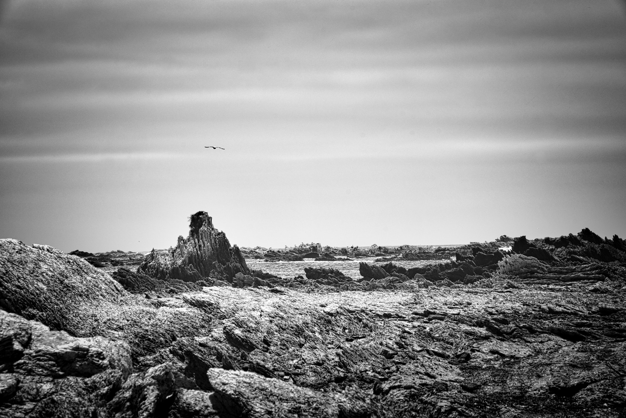 Sigma ZOOM-alpha 35-135mm F3.5-4.5 sample photo. Kaikoura photography