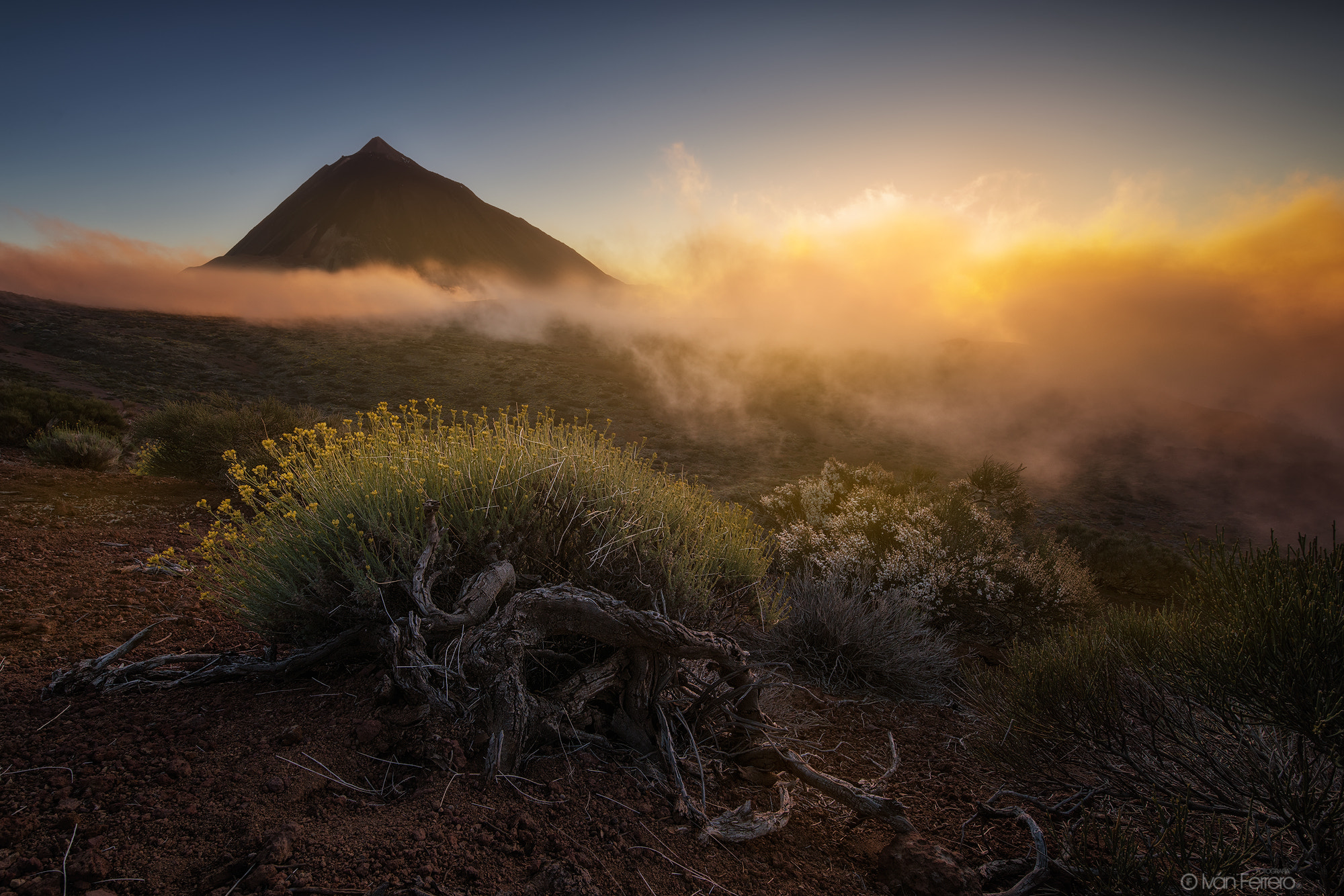 Tamron SP 15-30mm F2.8 Di VC USD sample photo. Sea of clouds photography