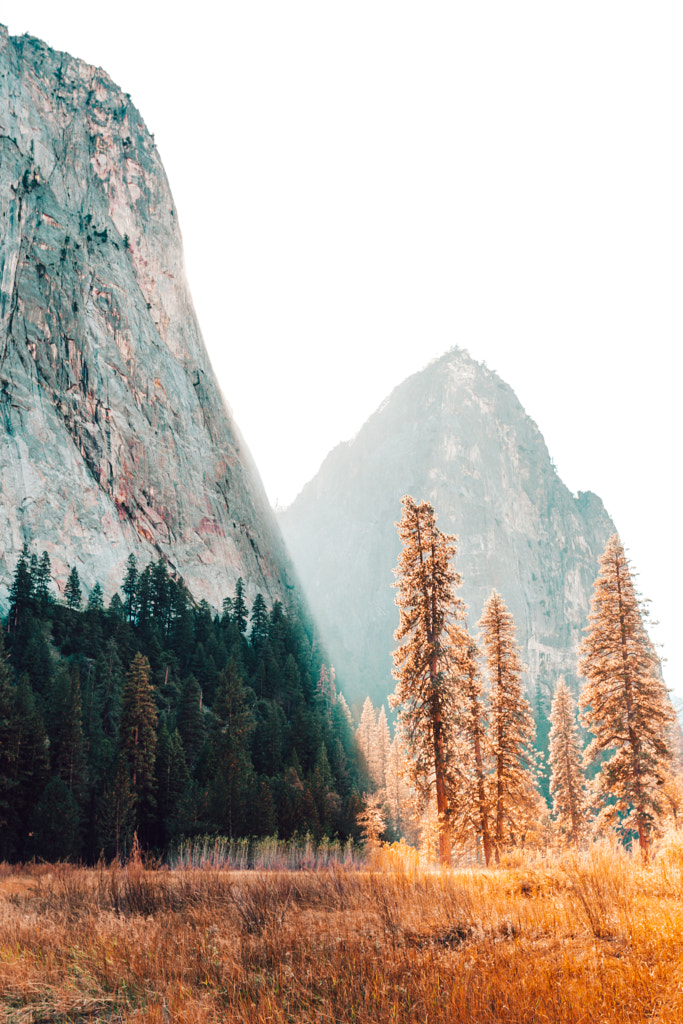 Yosemite sunlight by Hayden Scott on 500px.com