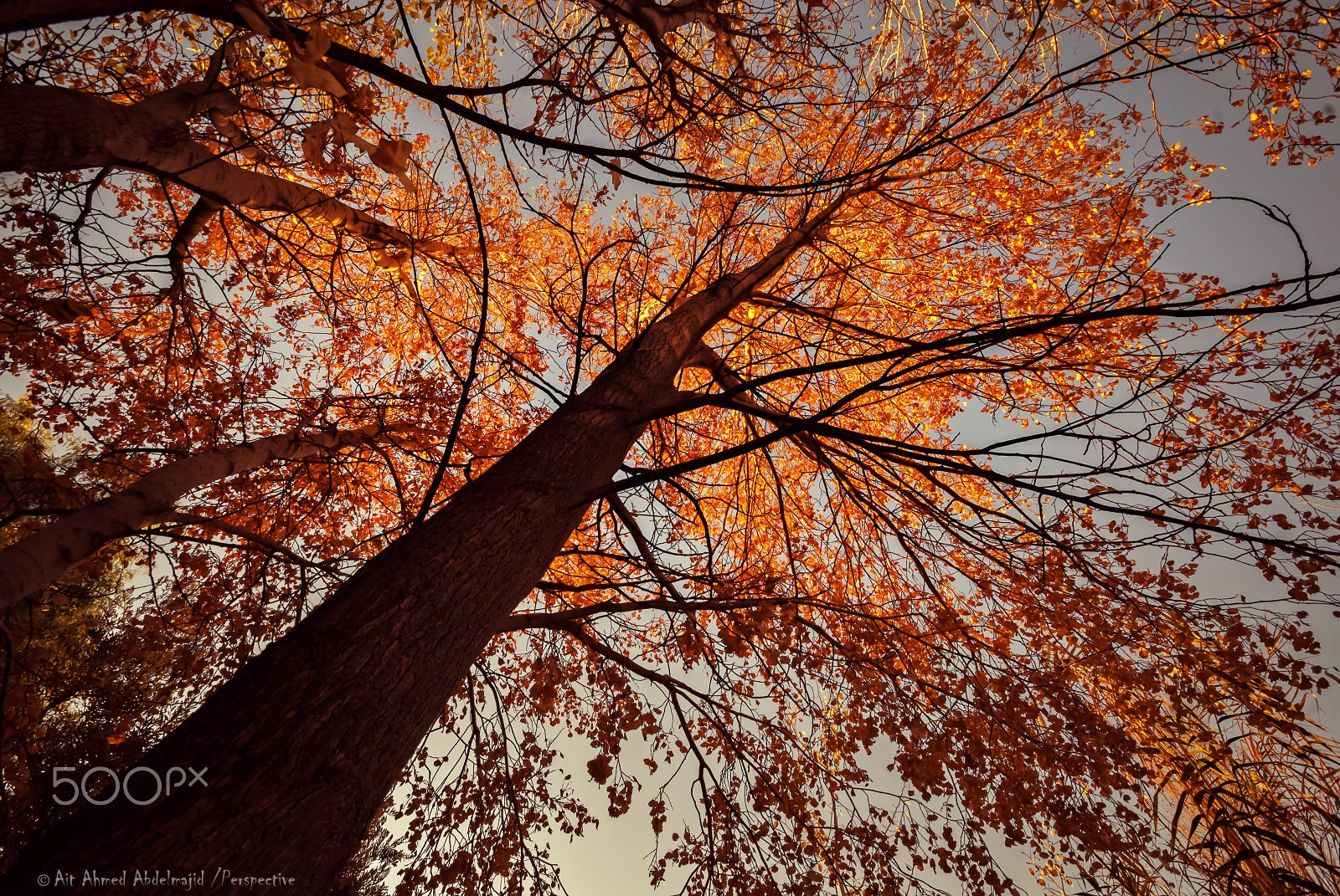 Sigma 10-20mm F4-5.6 EX DC HSM sample photo. Autumn lighting...!! photography