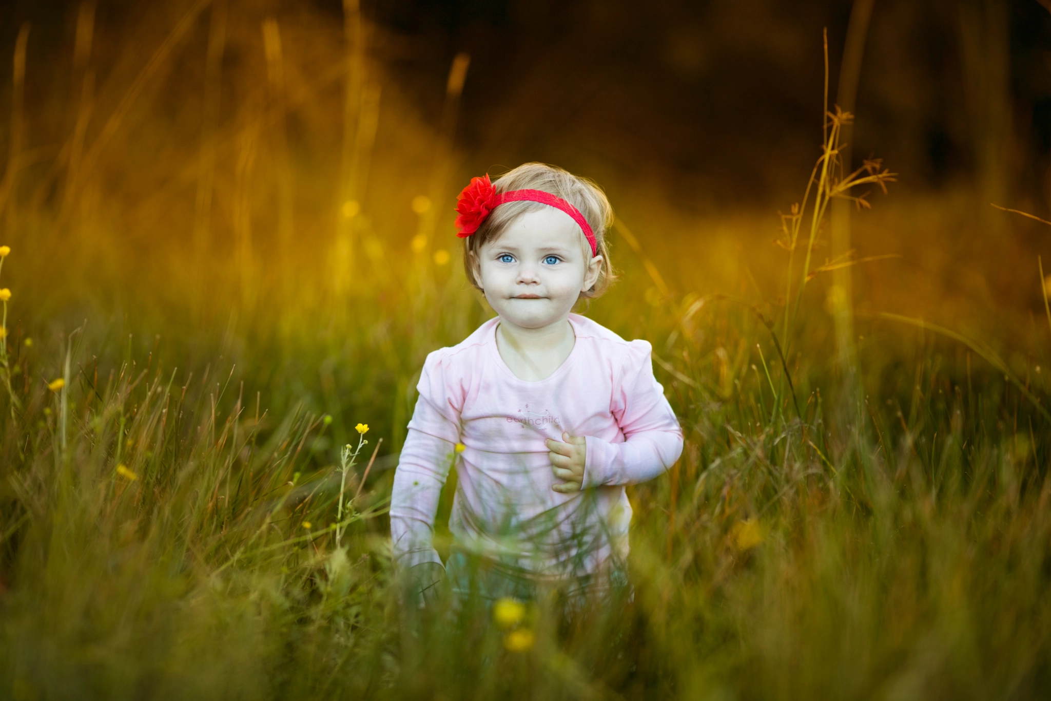 Canon EOS 5DS + Canon EF 135mm F2L USM sample photo. Where forest creatures lurk photography
