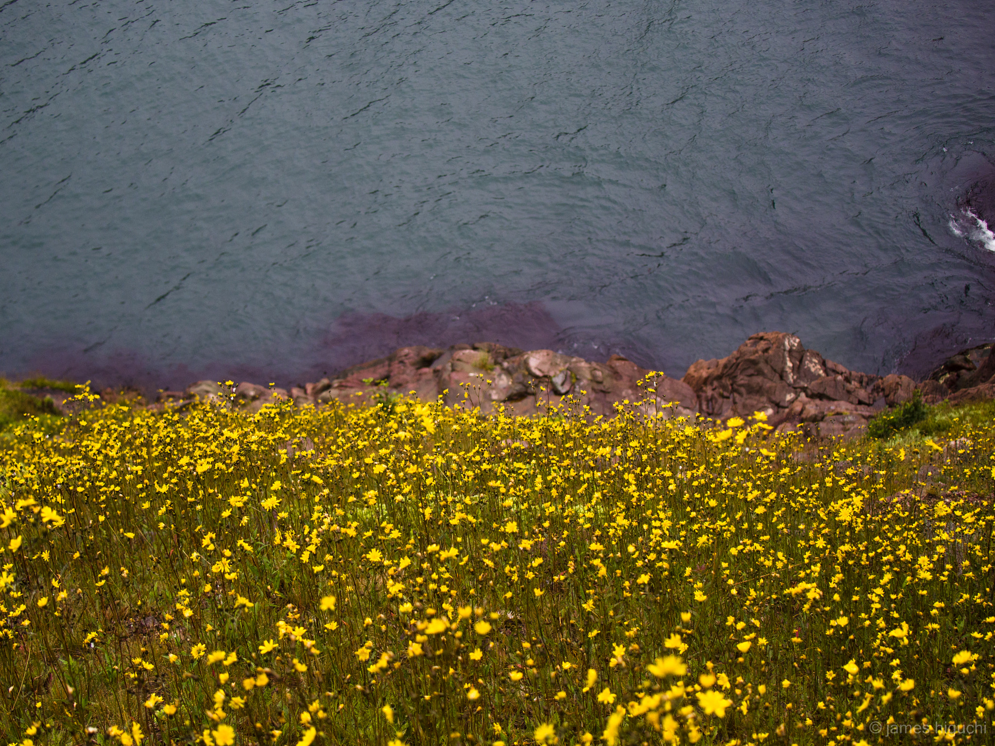 Panasonic Lumix G X Vario 35-100mm F2.8 OIS sample photo. Composition study 2 photography