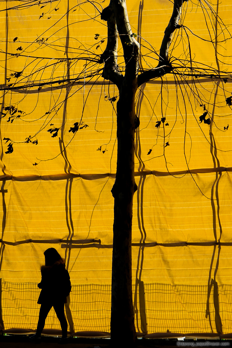 Samsung NX1 + NX 50-150mm F2.8 S sample photo. Construction site photography