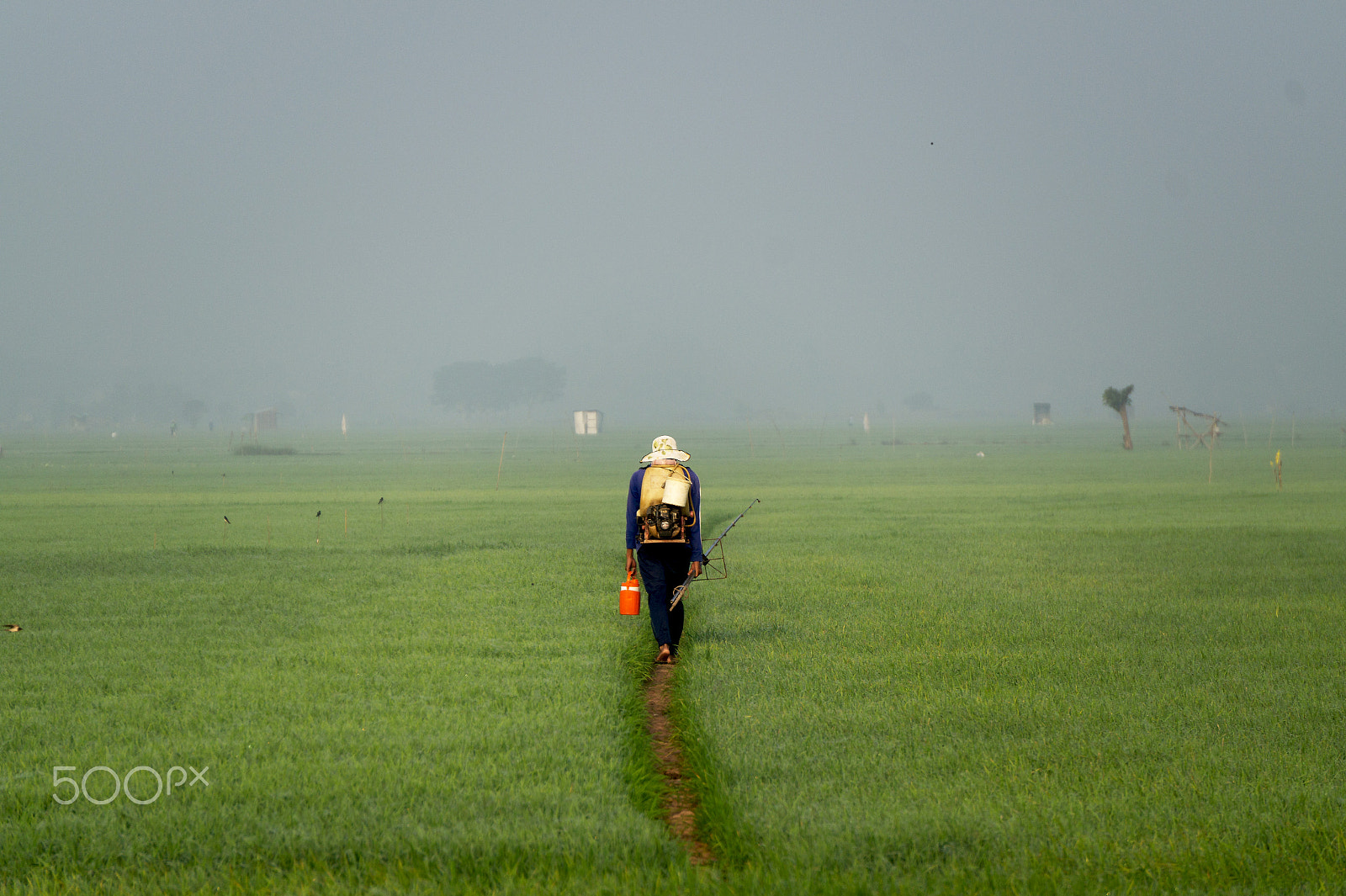 Sony Alpha a3000 sample photo. Mist photography