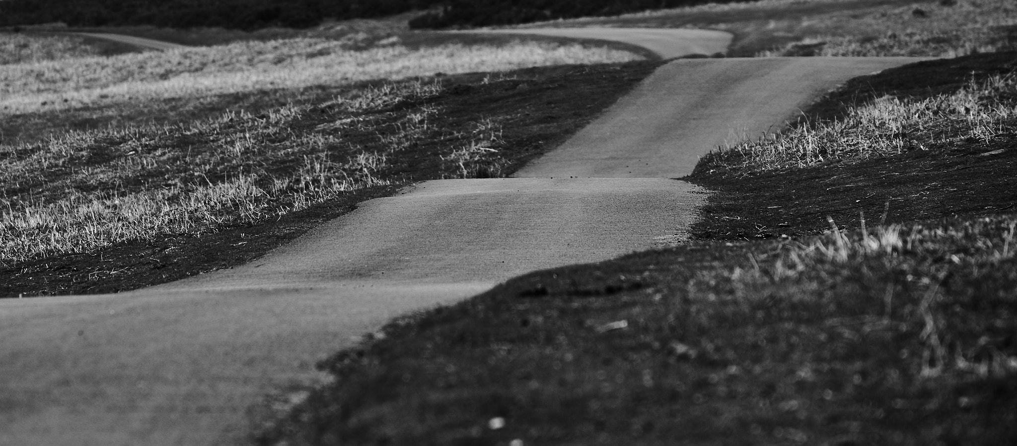 Tamron SP 70-300mm F4-5.6 Di USD sample photo. Road photography