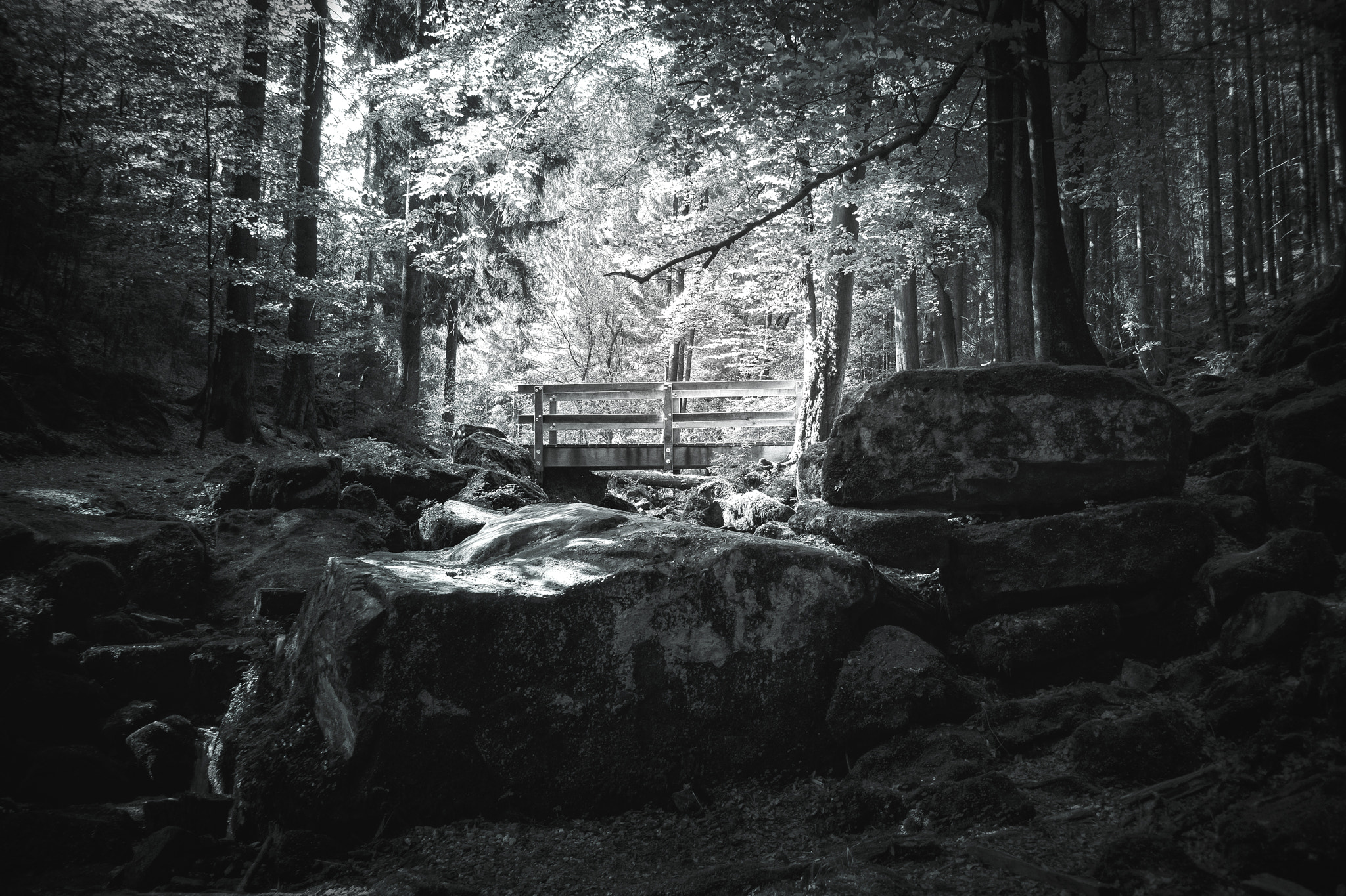 Canon EF 35-70mm f/3.5-4.5 sample photo. In to the wild photography
