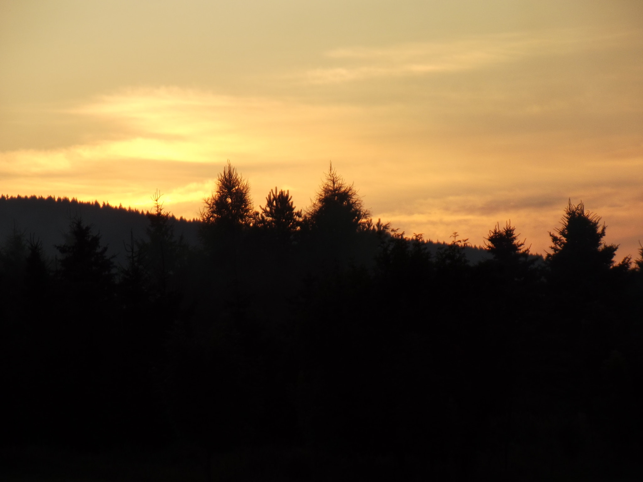 Fujifilm FinePix S2995 sample photo. 007.jpg photography