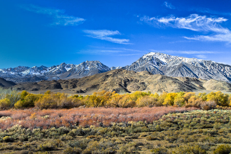 Hwy 395 - Inyo National Forest, Eastern Sierra Nevada - CA by Dominique ...