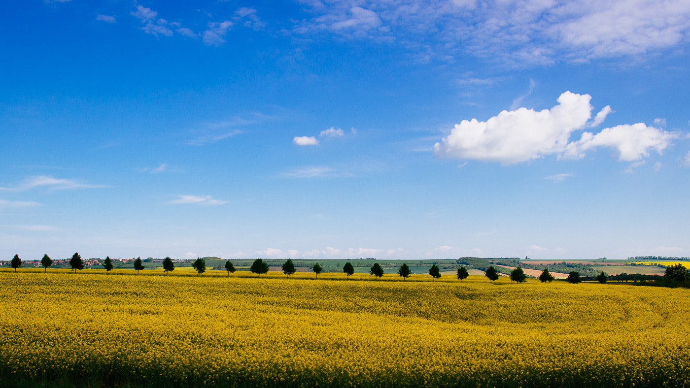 Nikon D600 + Nikon AF-S Nikkor 24mm F1.4G ED sample photo. On the road photography