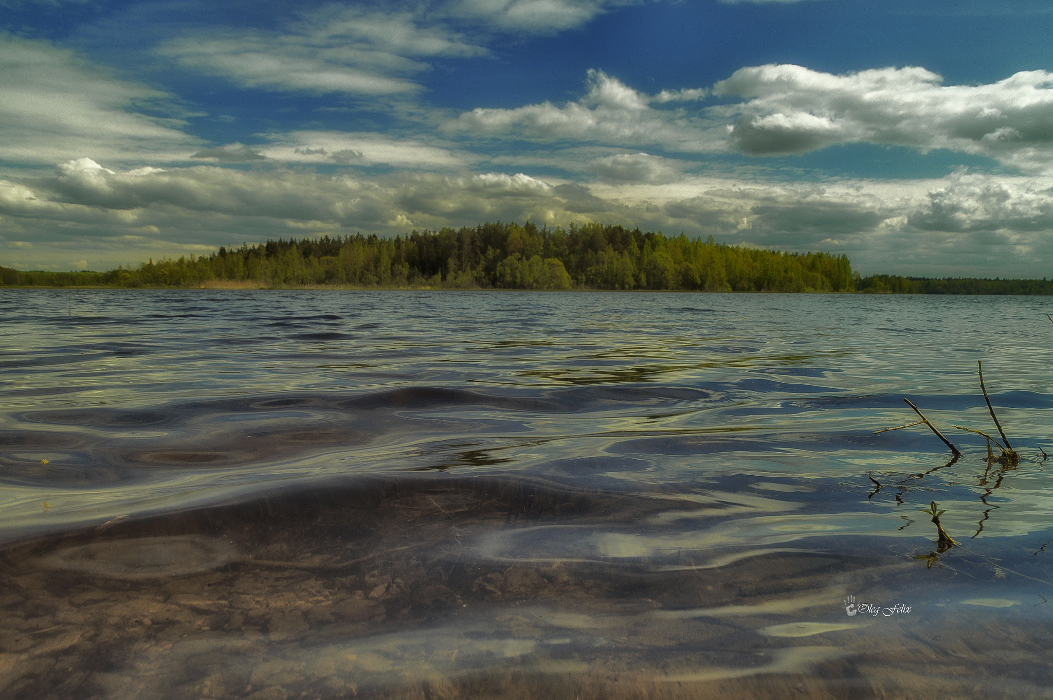 Sony SLT-A37 sample photo. On the lake. photography