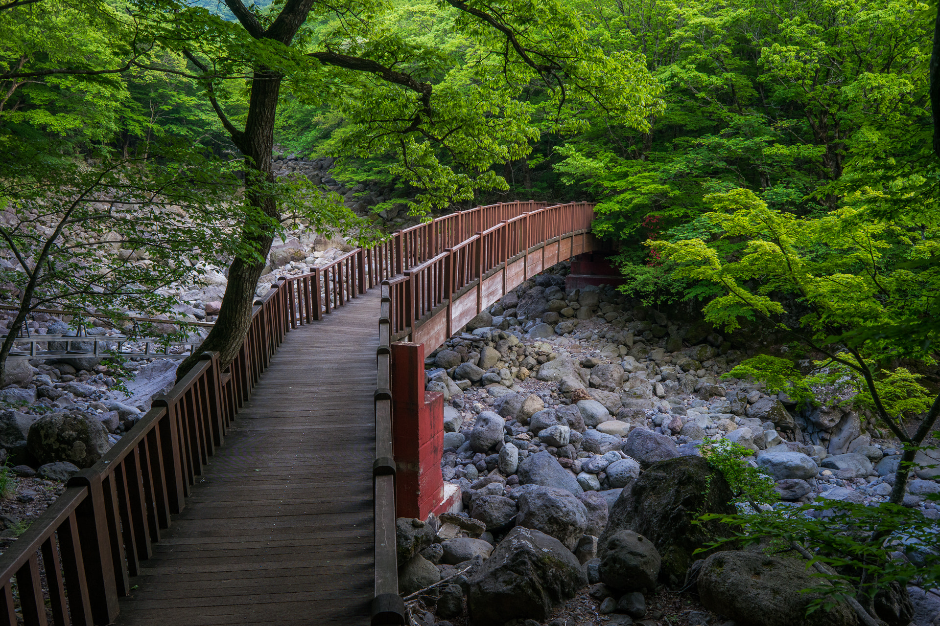 Sony a7 + Sony 28mm F2.8 sample photo. *** photography