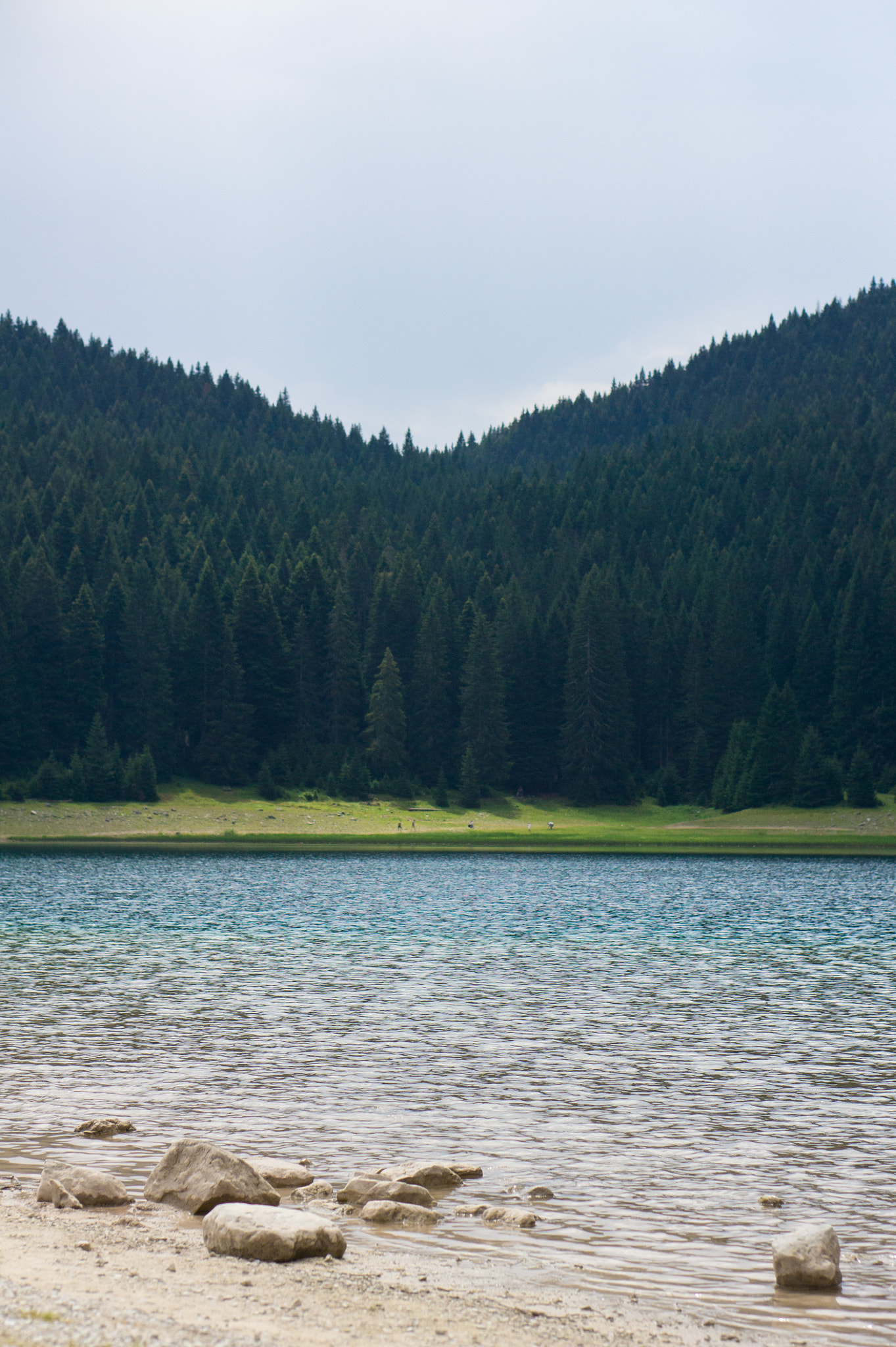 Sony Alpha NEX-3 + E 50mm F1.8 OSS sample photo. Durmitor photography