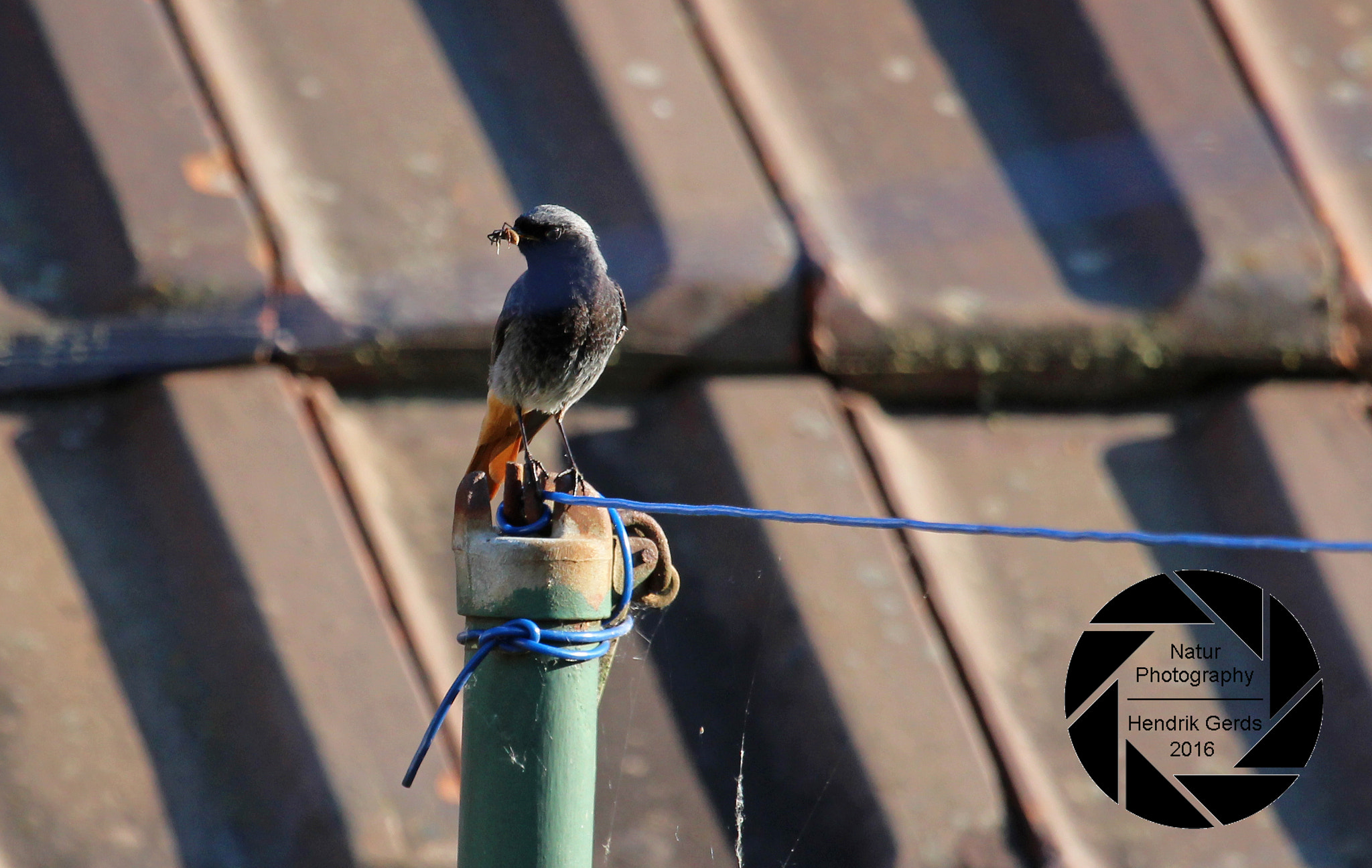 Canon EF 100-400mm F4.5-5.6L IS USM sample photo