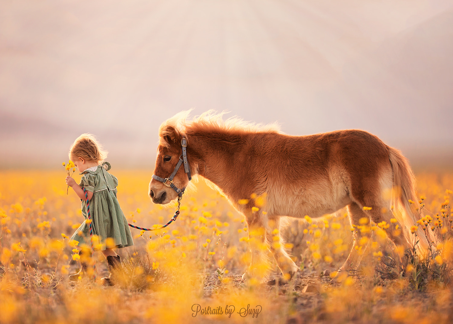 Canon EOS 6D + Canon EF 200mm F2L IS USM sample photo. Summer light photography