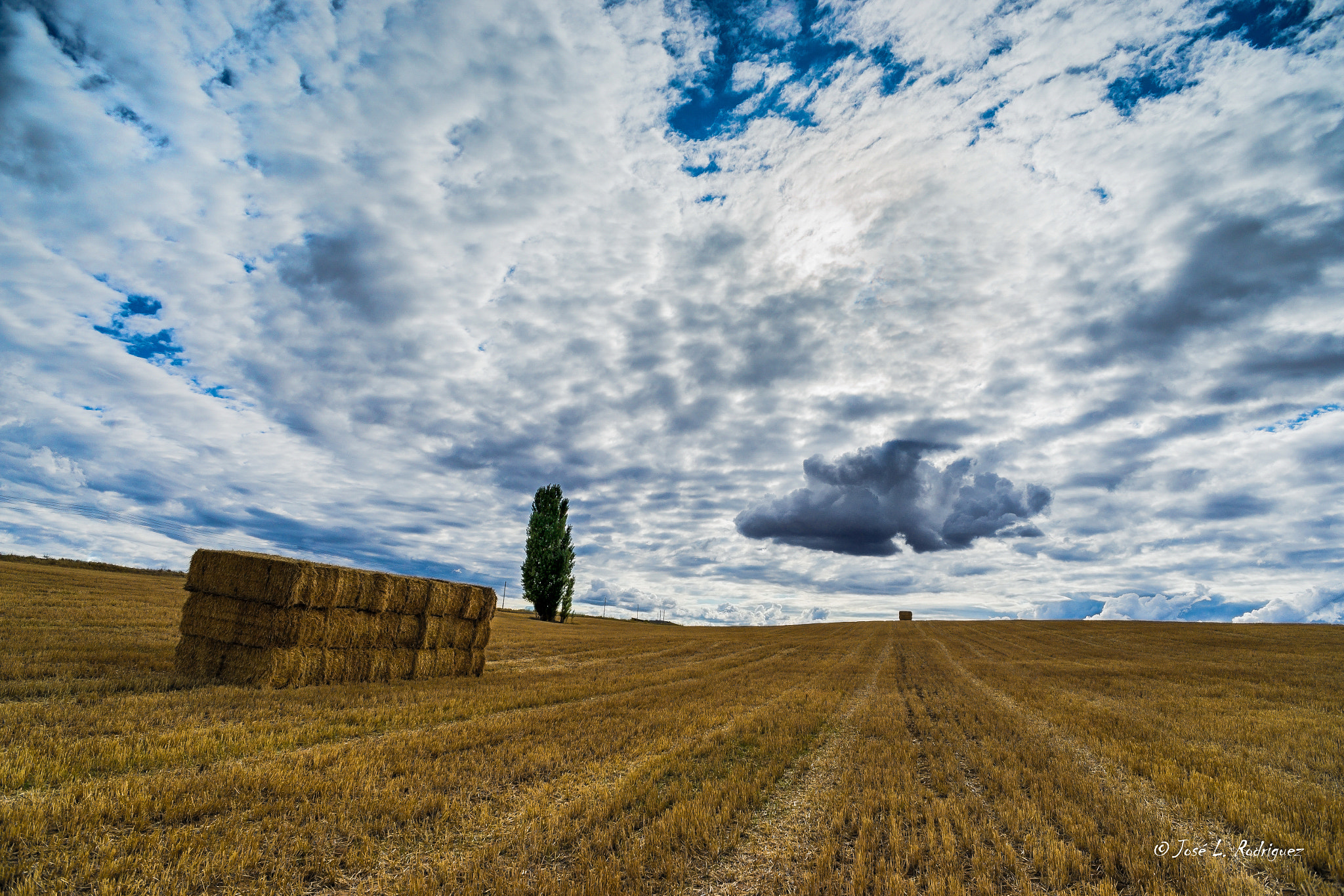 Sony Alpha DSLR-A850 + Sony 20mm F2.8 sample photo. La cosecha photography