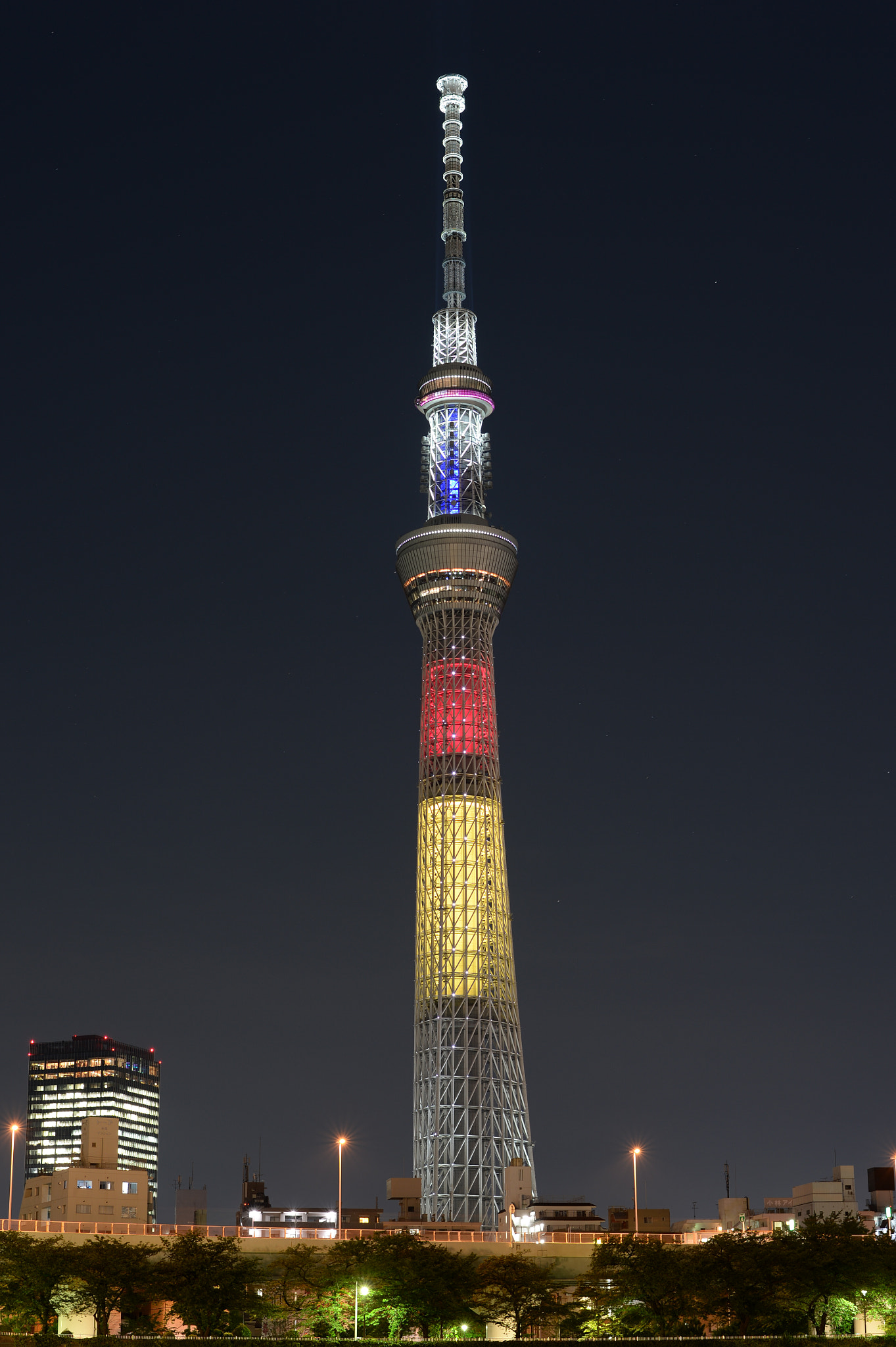 Nikon Df + Nikon AF-S Nikkor 58mm F1.4G sample photo. Tokyo sky tree : belgian national flag color photography