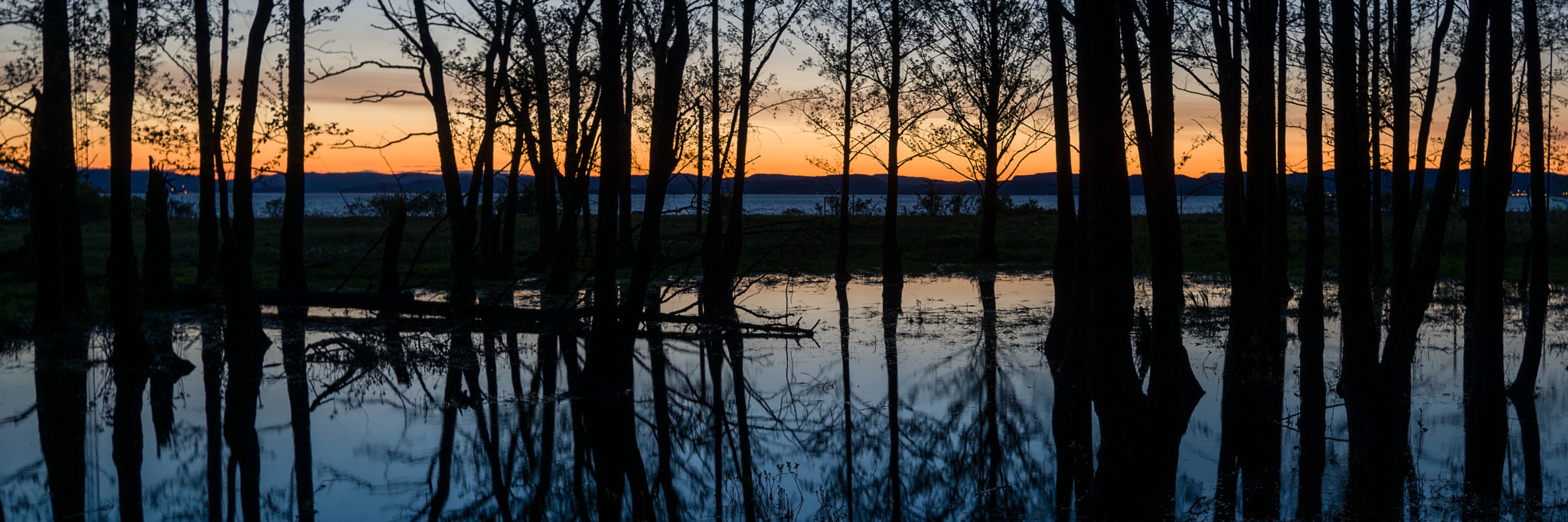 Nikon D800E sample photo. Jeløya, jeløy radio photography