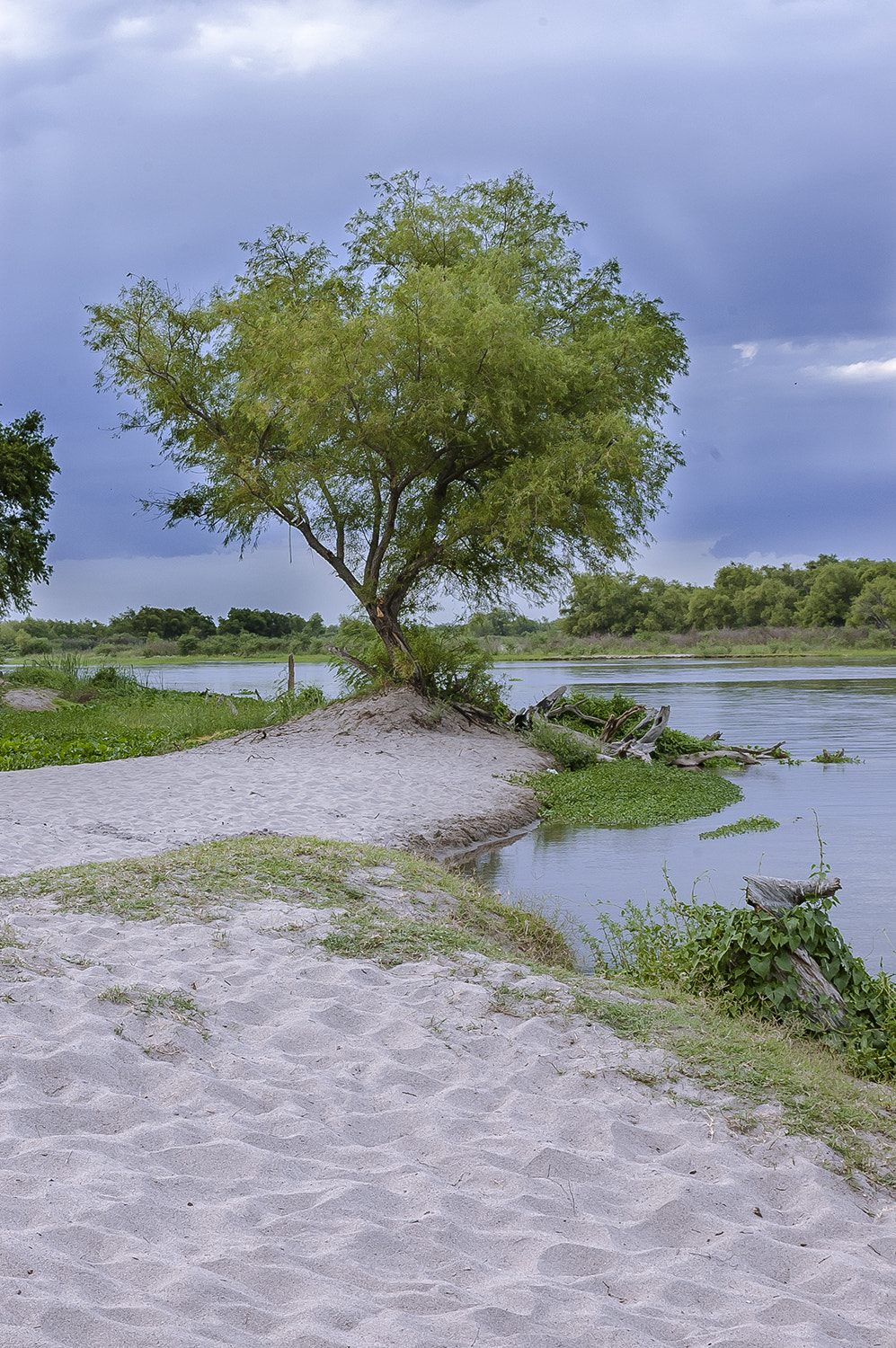 AF Zoom-Nikkor 35-80mm f/4-5.6D N sample photo. Del camping photography