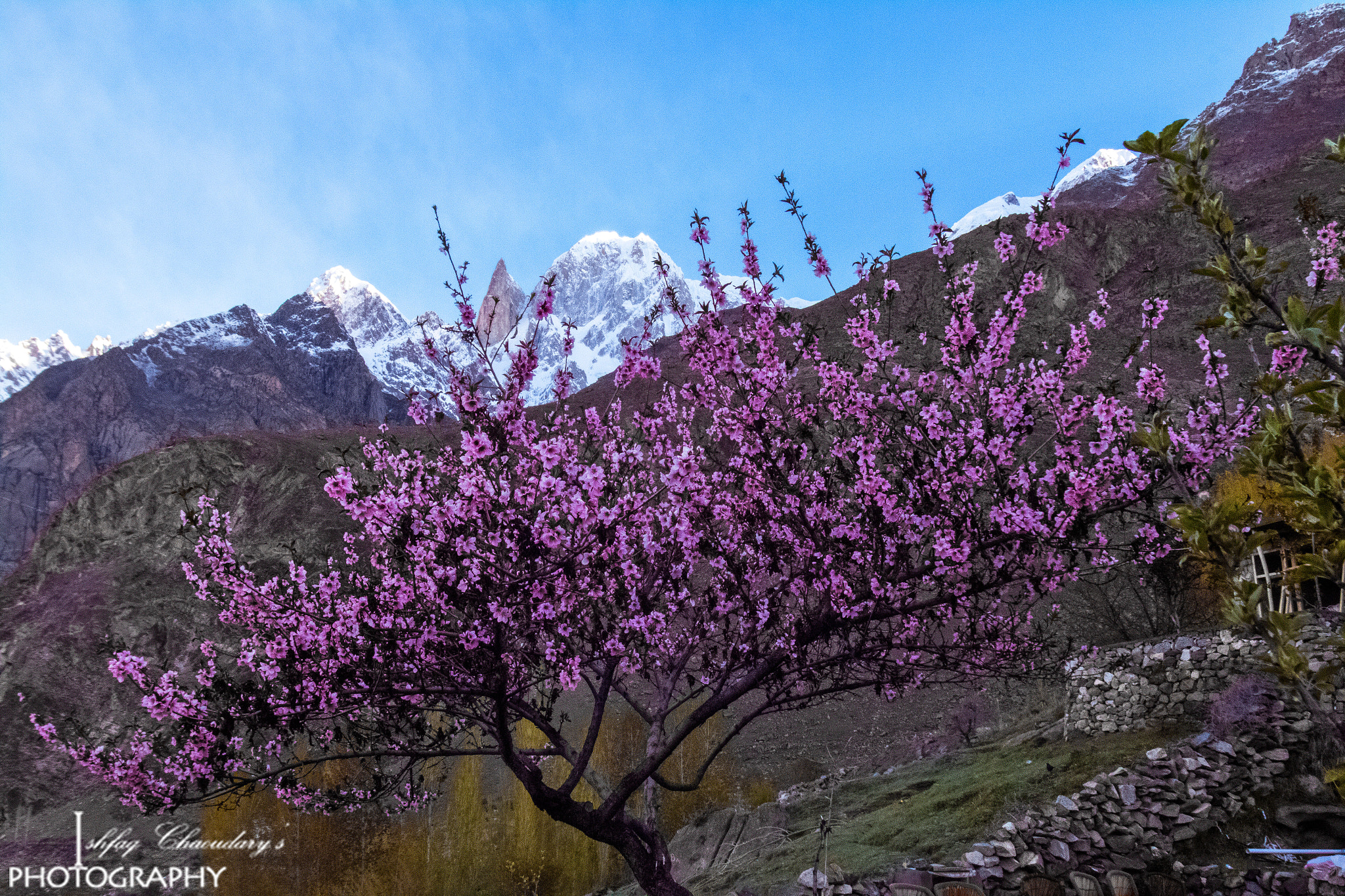 Canon EOS 70D + Sigma 17-35mm f/2.8-4 EX DG Aspherical HSM sample photo. Lady finger mountain, hunza,pakistan  photography