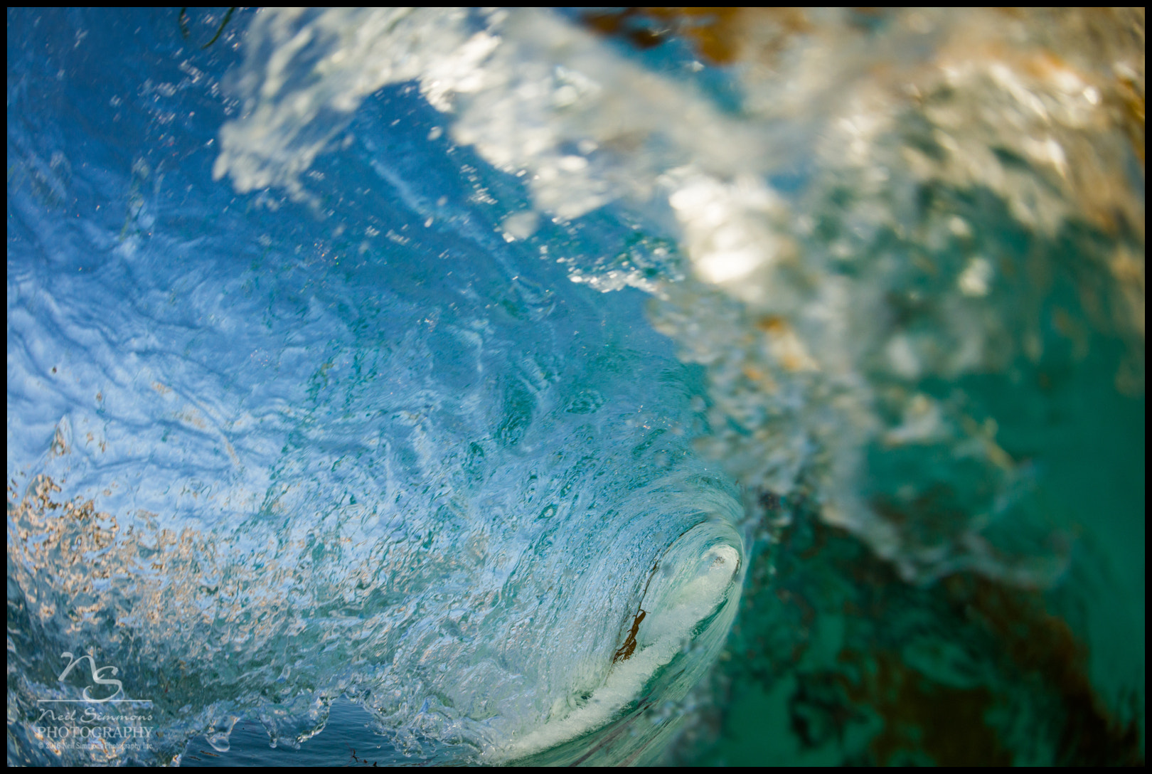 Nikon D800 + Nikon AF Fisheye-Nikkor 16mm F2.8D sample photo. Seeking clarity down south photography