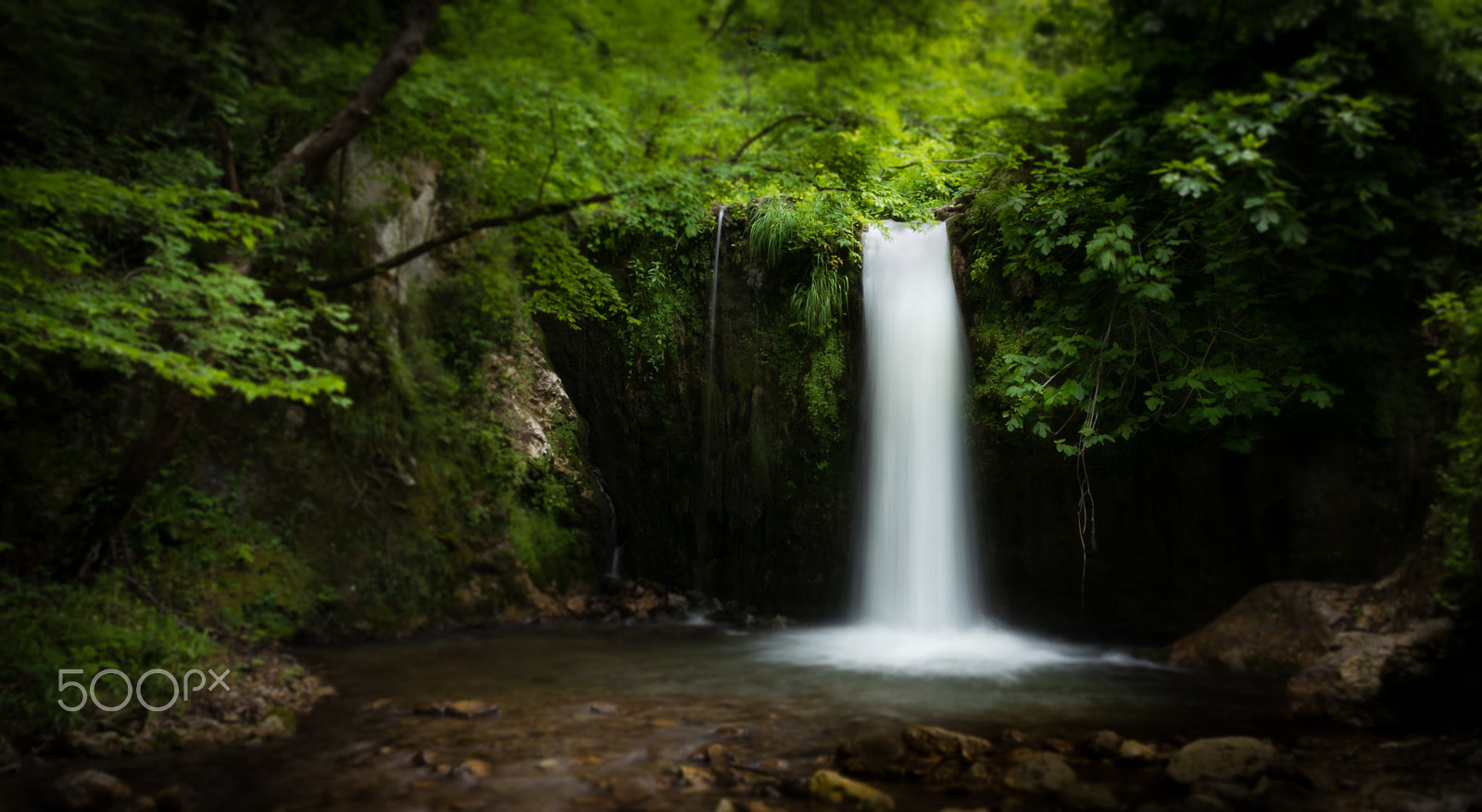 Panasonic Lumix DMC-G5 sample photo. Dreamy photography
