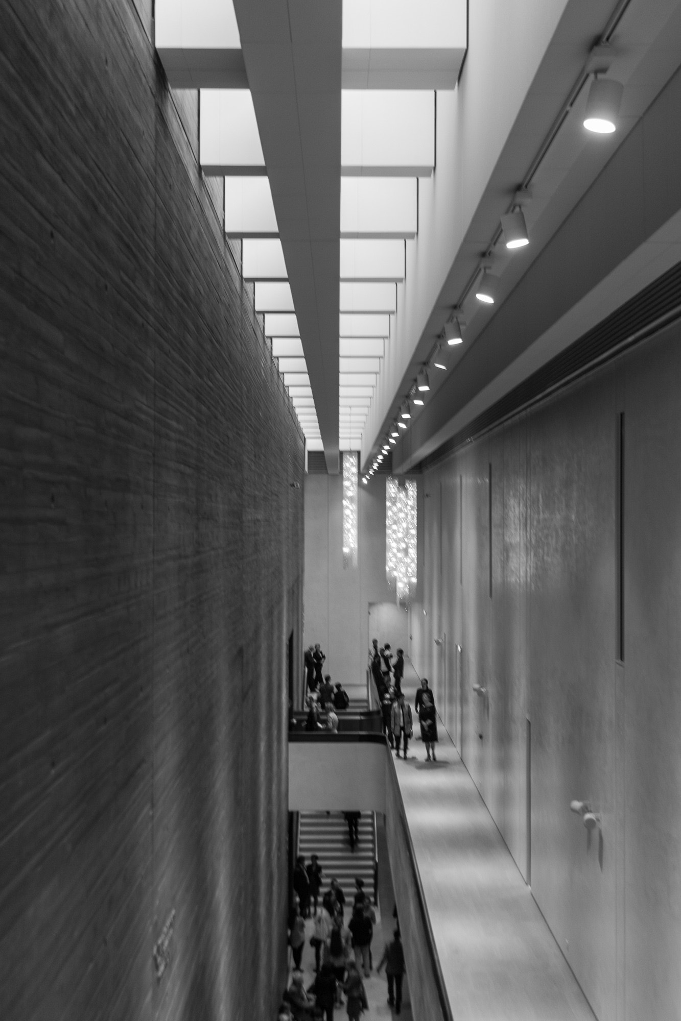 Canon EF 28-135mm F3.5-5.6 IS USM sample photo. Lines of harmony photography