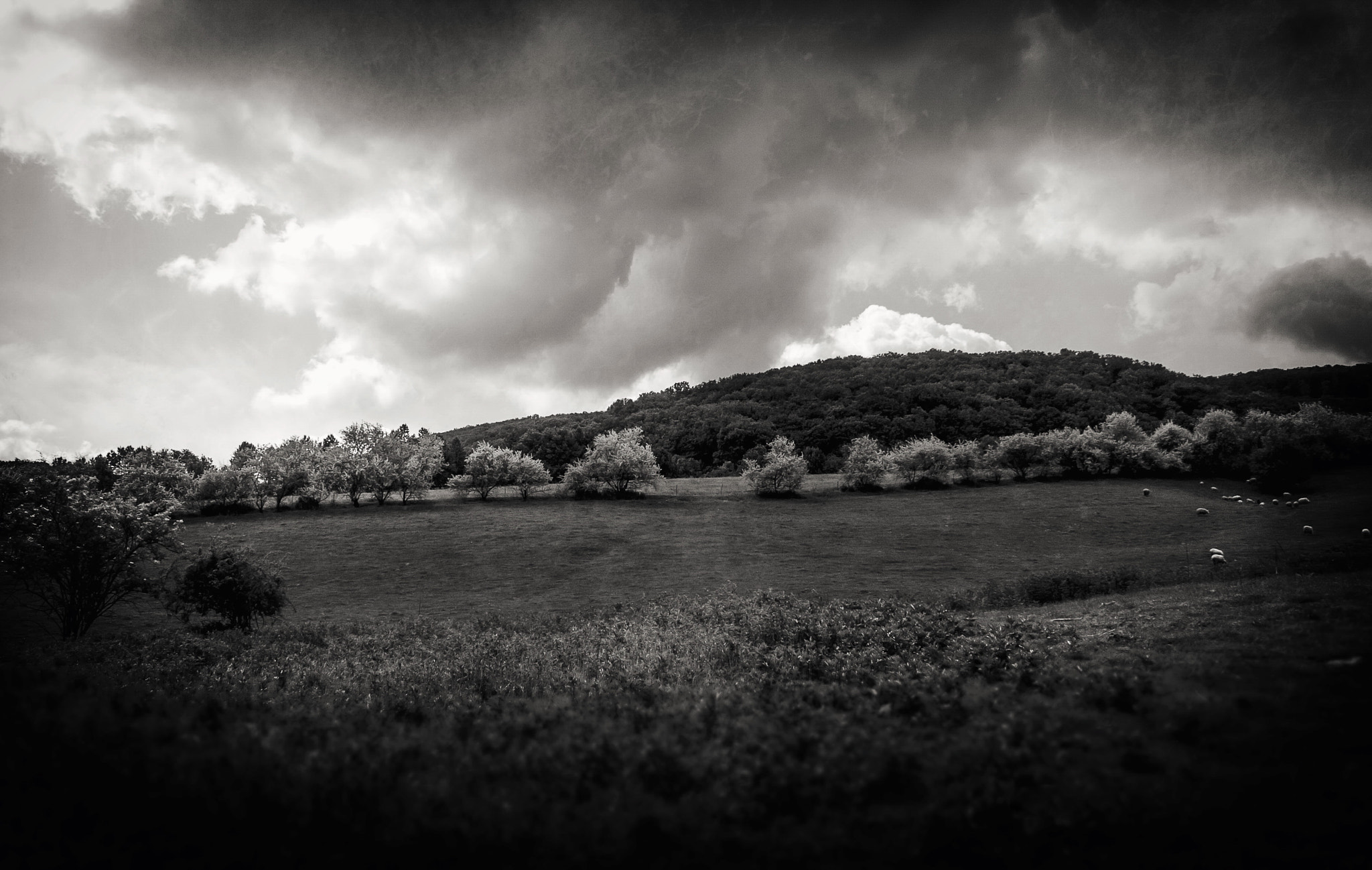 Canon EF-S 18-55mm F3.5-5.6 sample photo. My land, where is my heart... photography