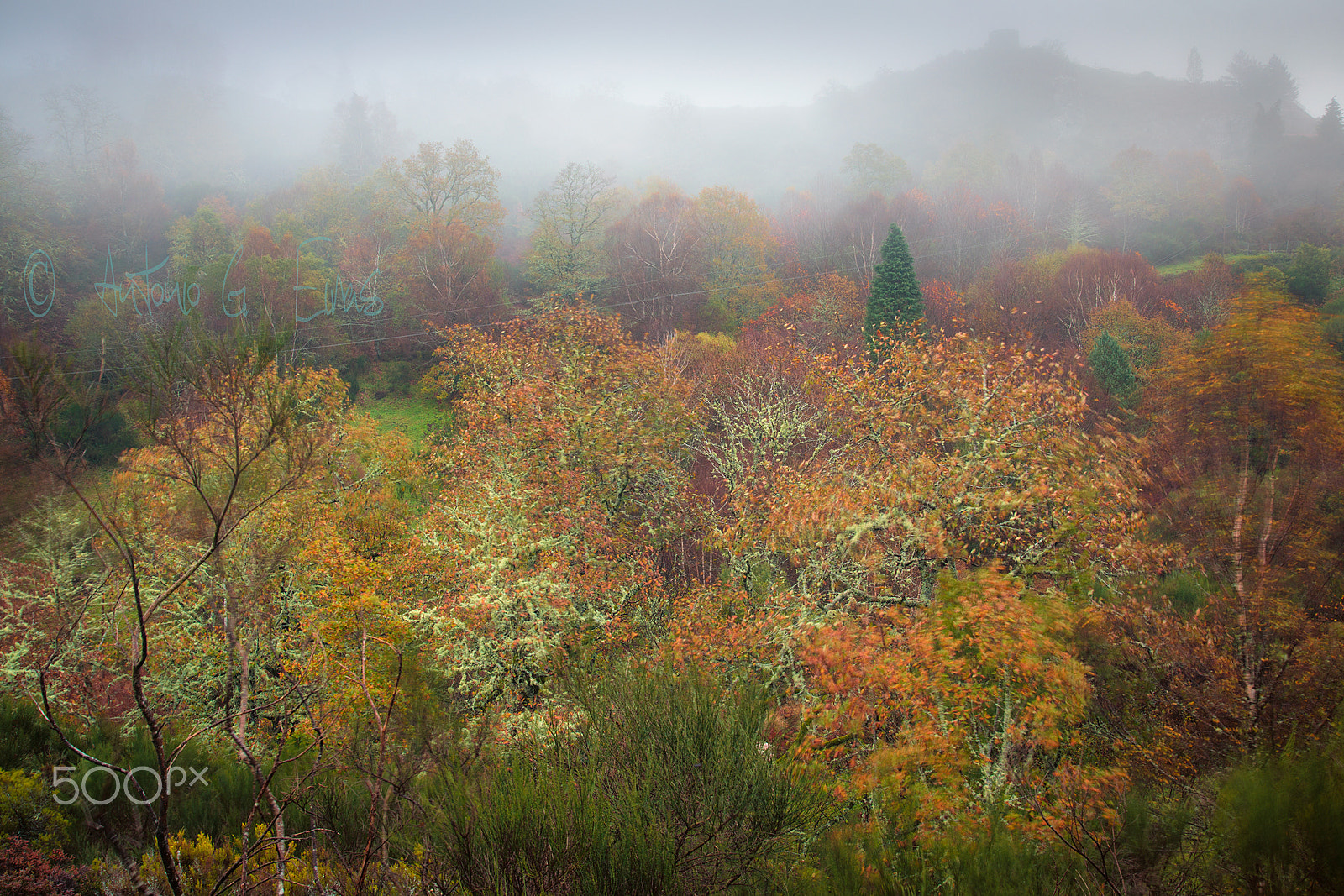Sony SLT-A77 sample photo. Mata photography
